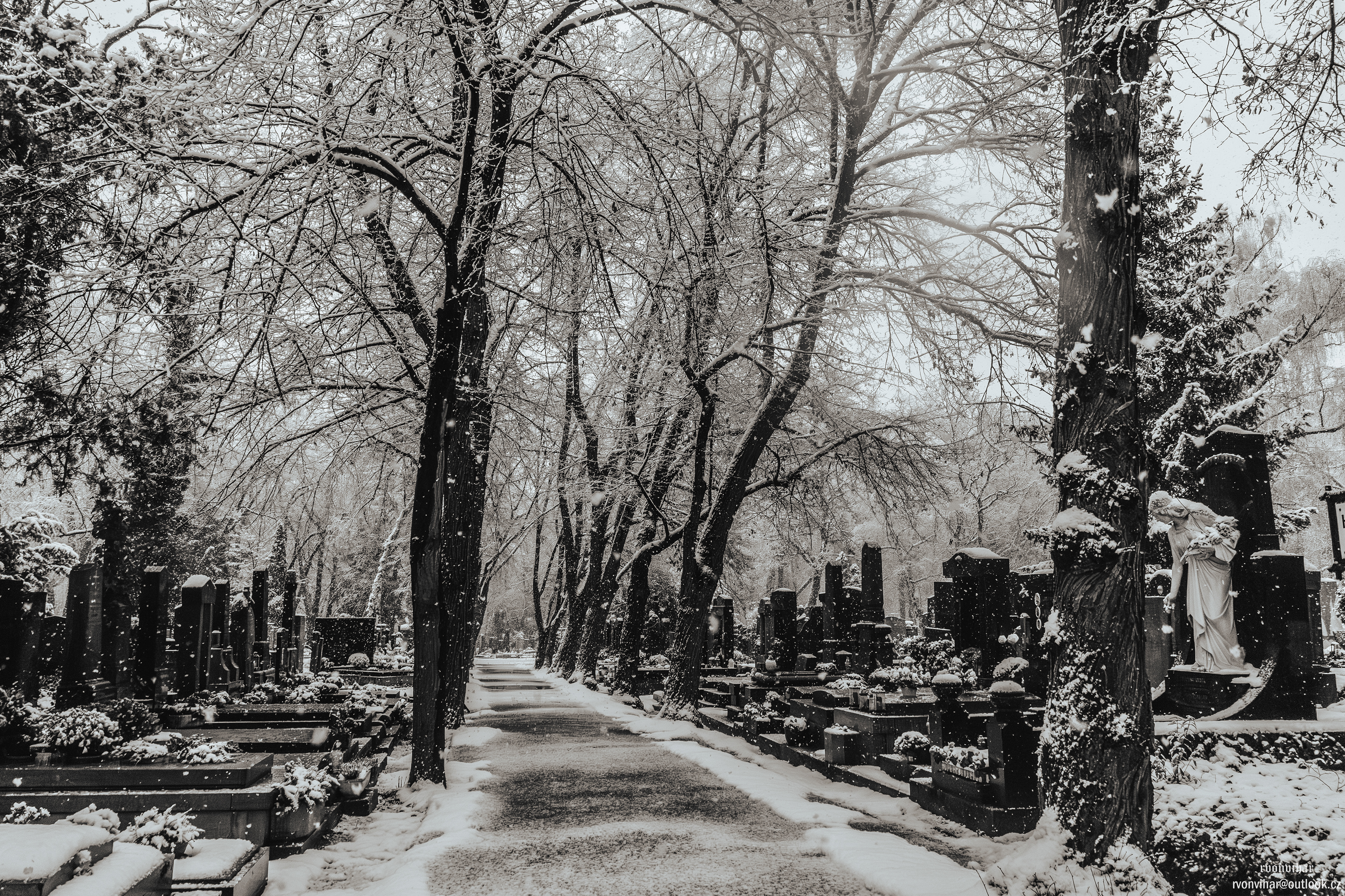 Olšanské hřbitovy (Olšany Cemetery, 26.11.25)