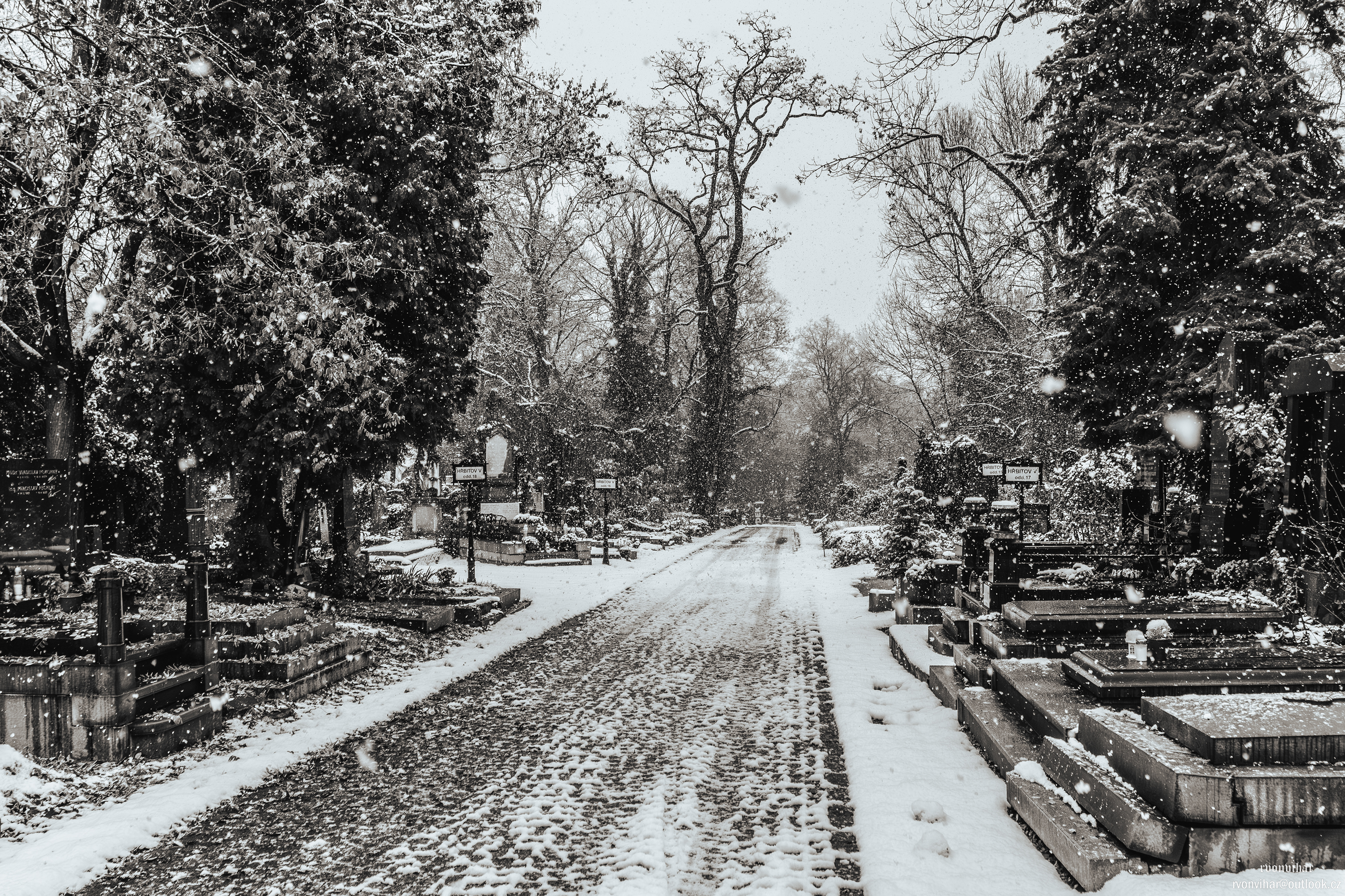 Olšanské hřbitovy (Olšany Cemetery, 26.11.25)