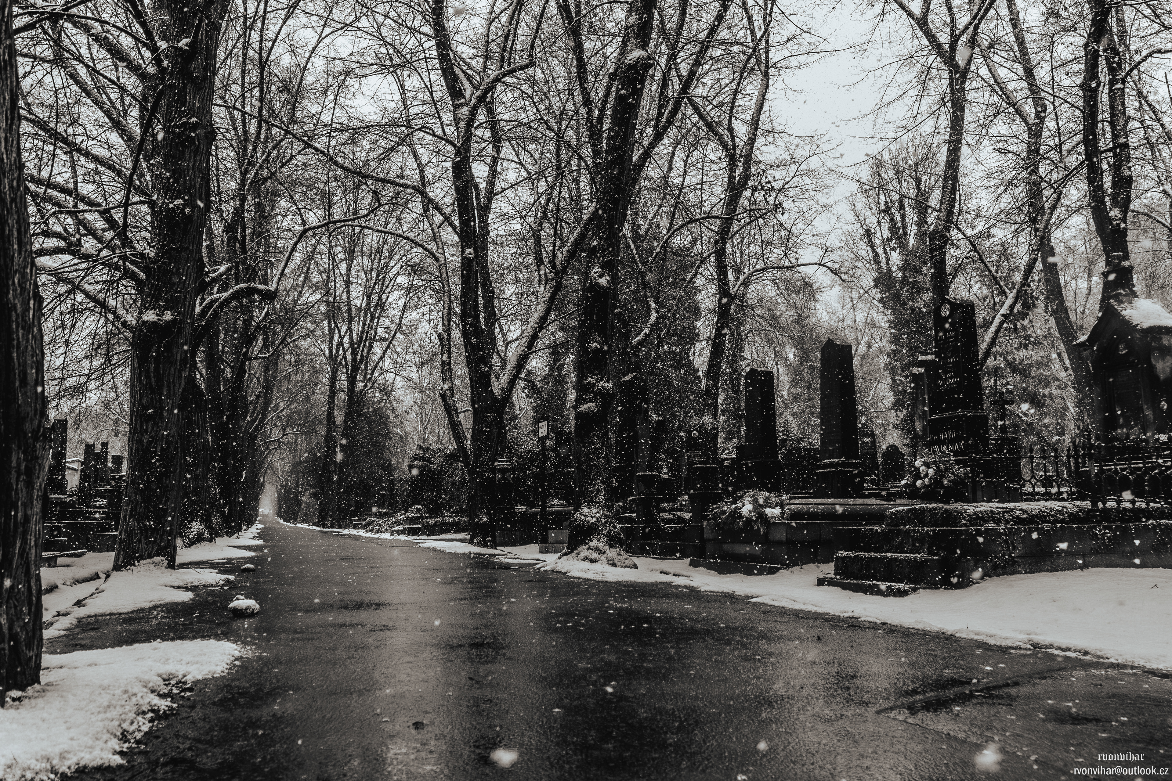 Olšanské hřbitovy (Olšany Cemetery, 26.11.25)