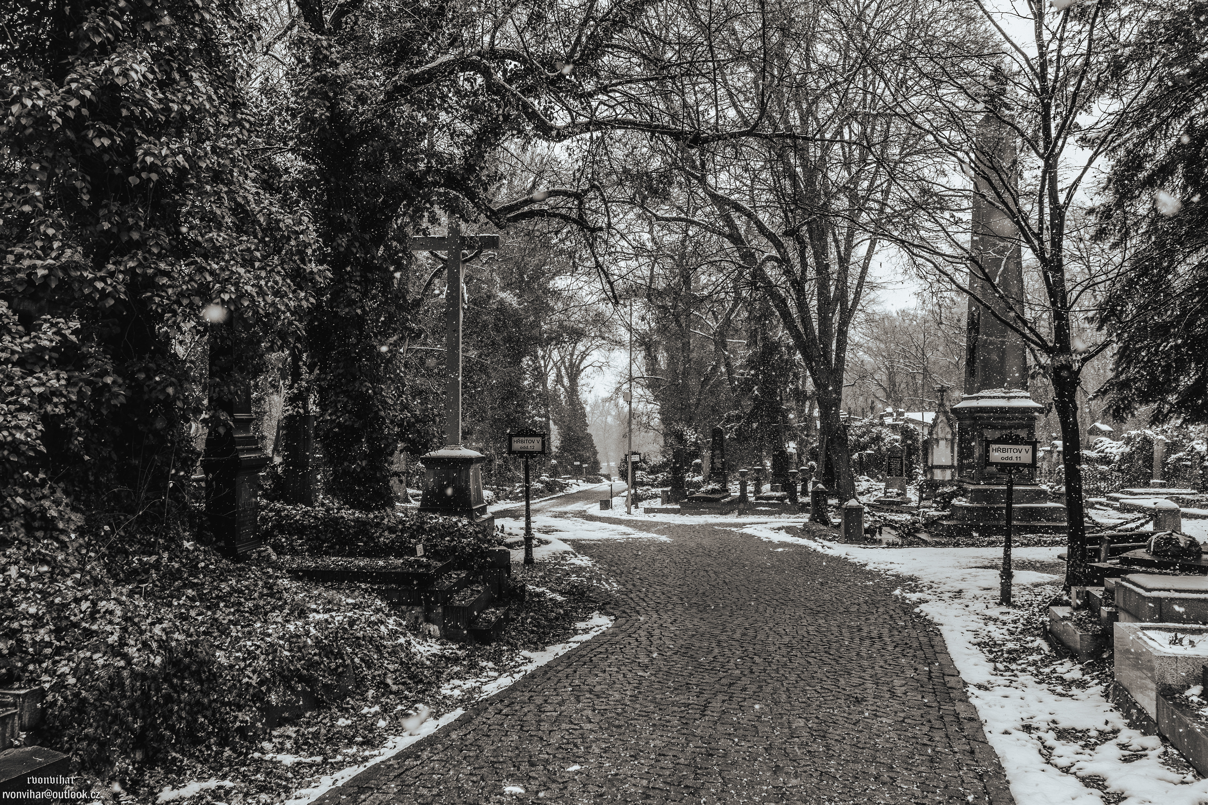Olšanské hřbitovy (Olšany Cemetery, 26.11.25)