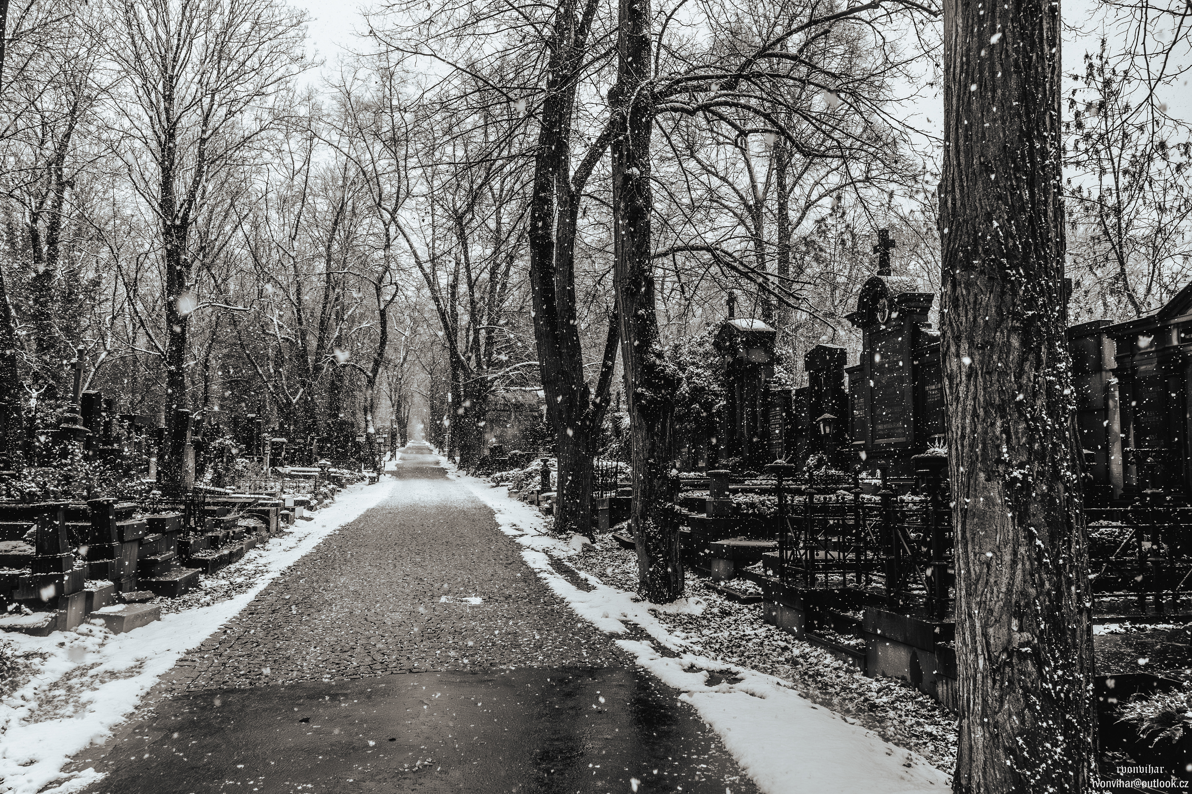 Olšanské hřbitovy (Olšany Cemetery, 26.11.25)