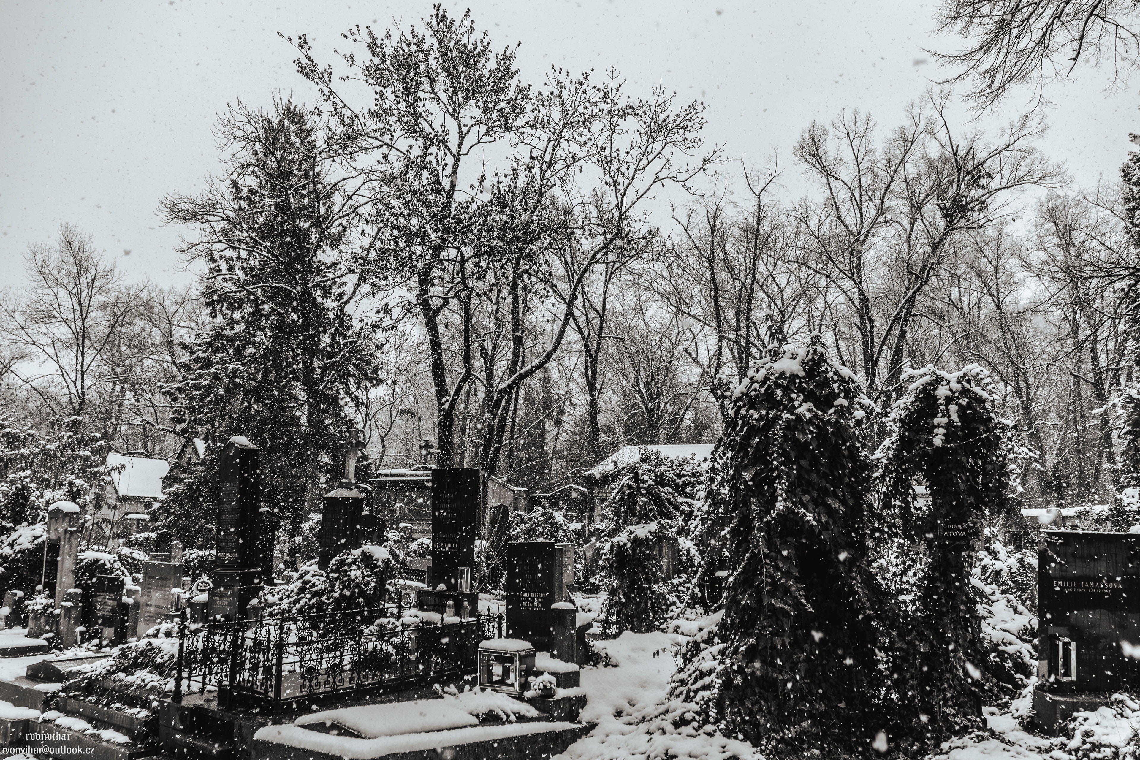 Olšanské hřbitovy (Olšany Cemetery, 26.11.25)