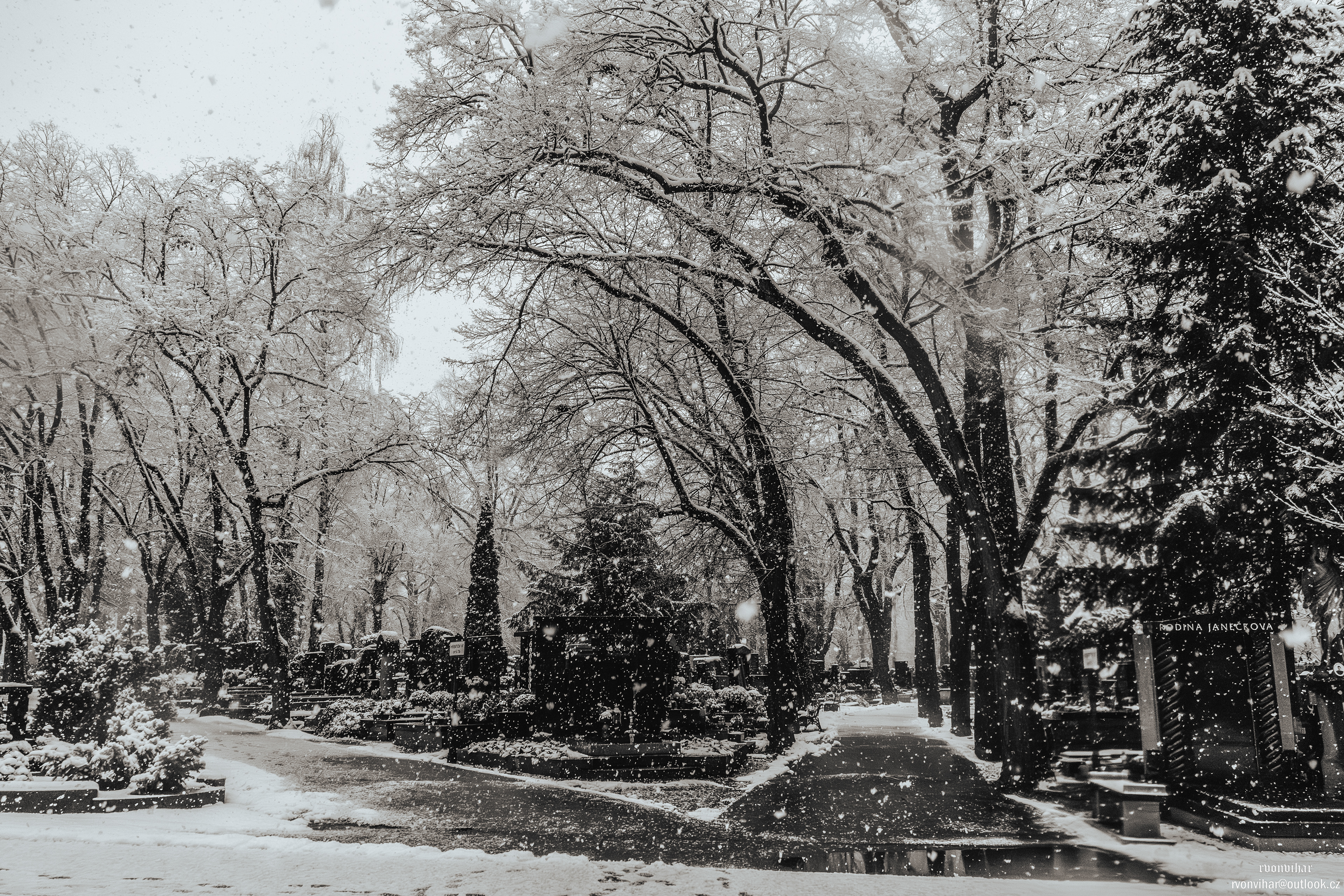 Olšanské hřbitovy (Olšany Cemetery, 26.11.25)