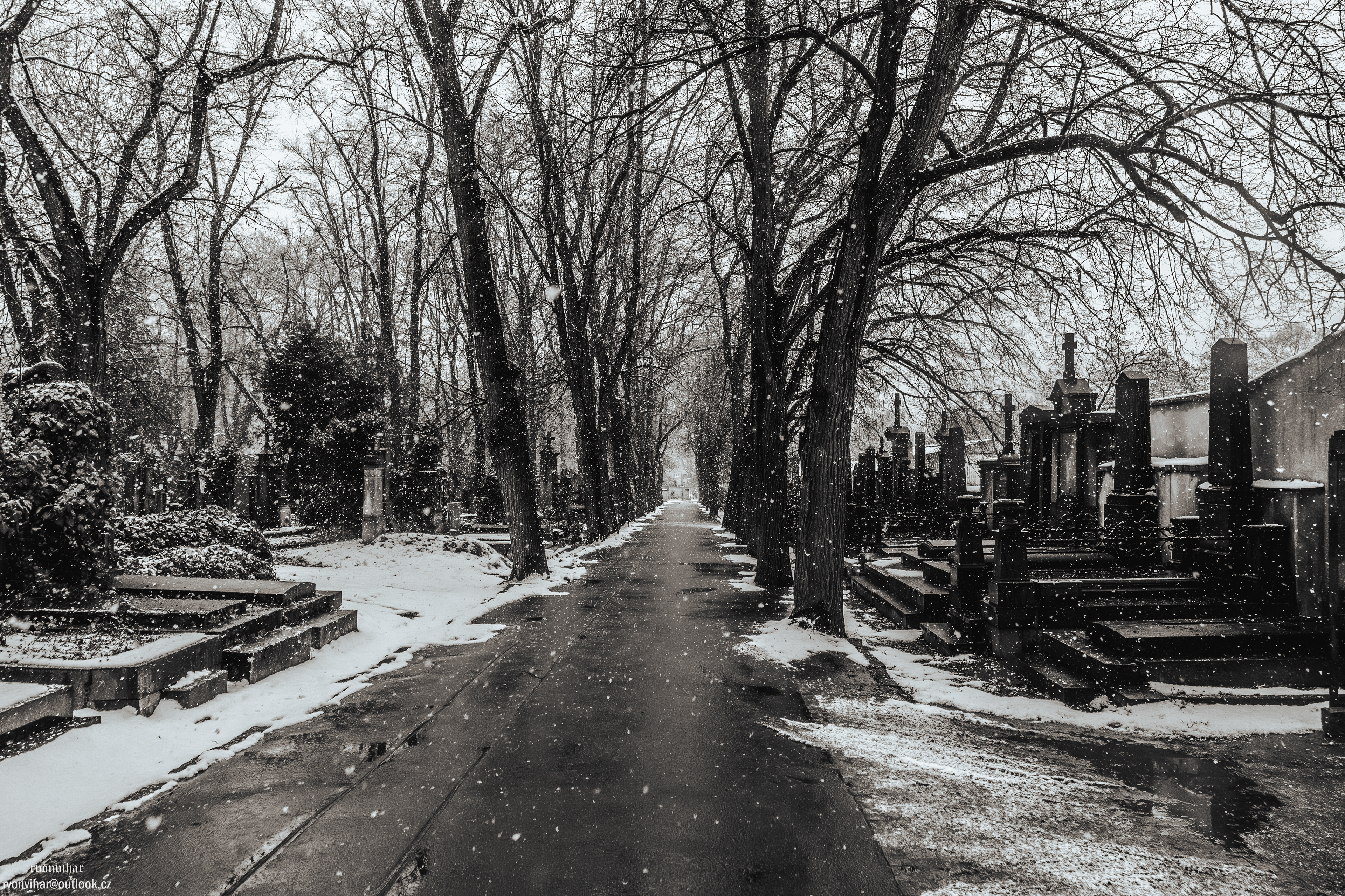 Olšanské hřbitovy (Olšany Cemetery, 26.11.25)