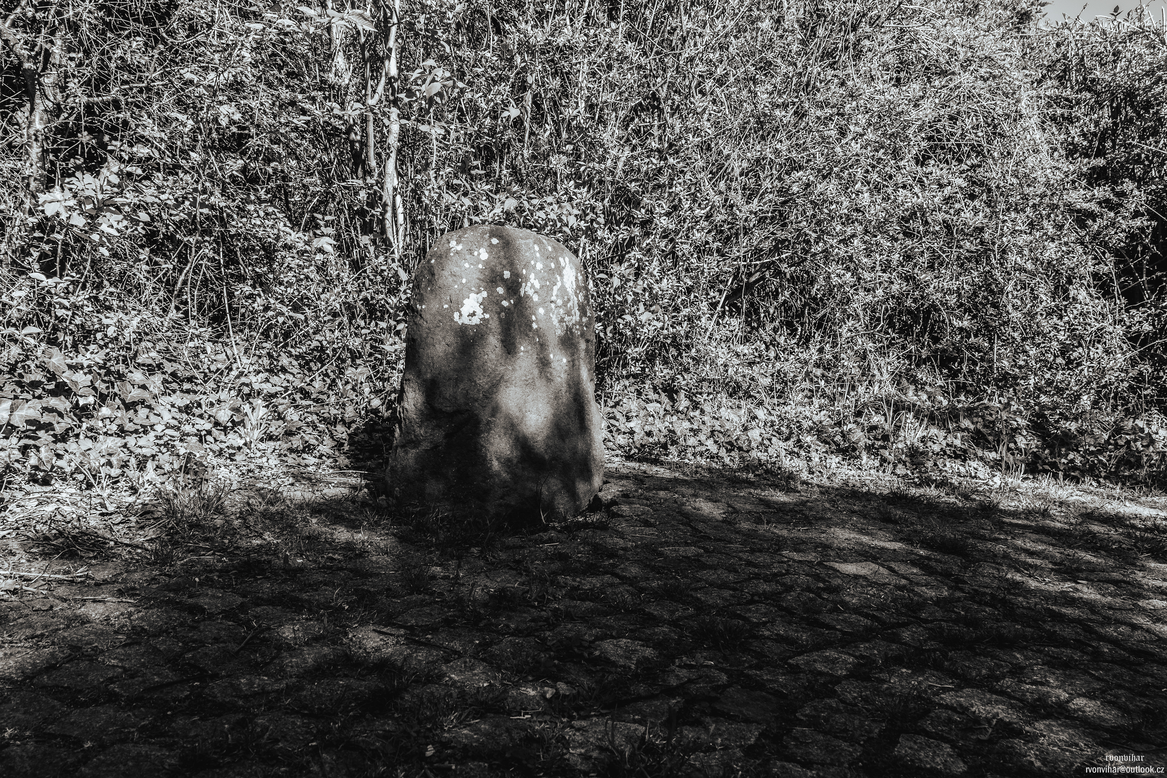 Zbuzanský menhir (Zbuzany Menhir, Zbuzany, 27.4.26)