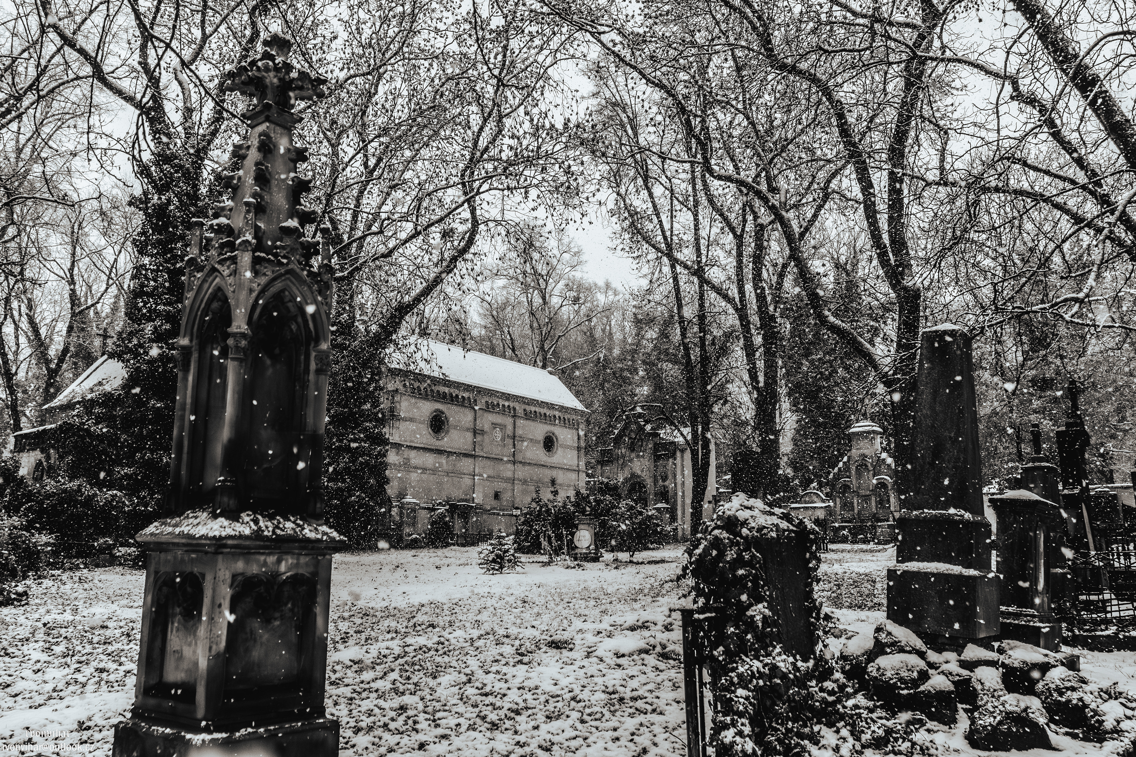 Olšanské hřbitovy (Olšany Cemetery, 26.11.25)