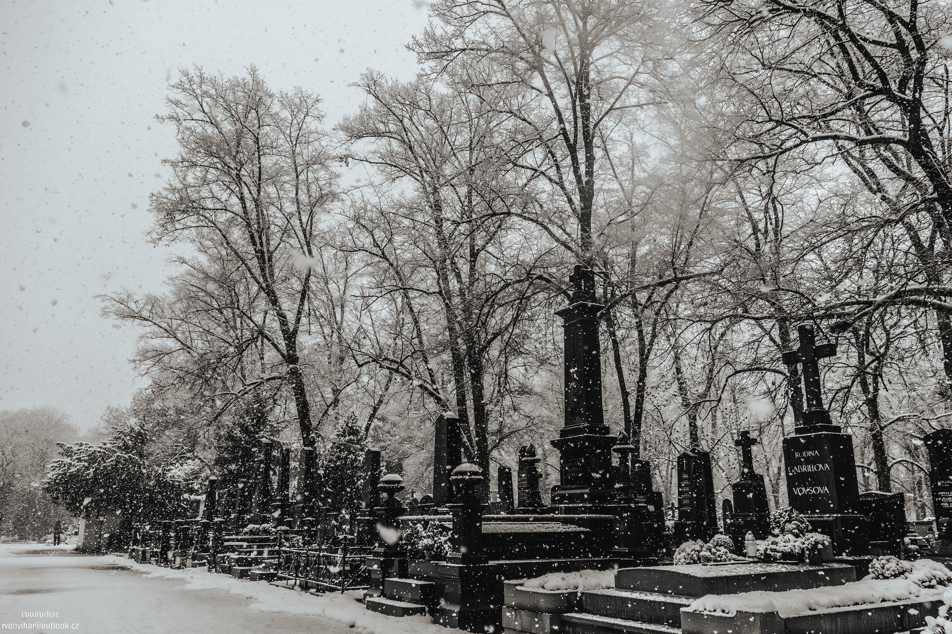 Olšanské hřbitovy (Olšany Cemetery, 26.11.25)