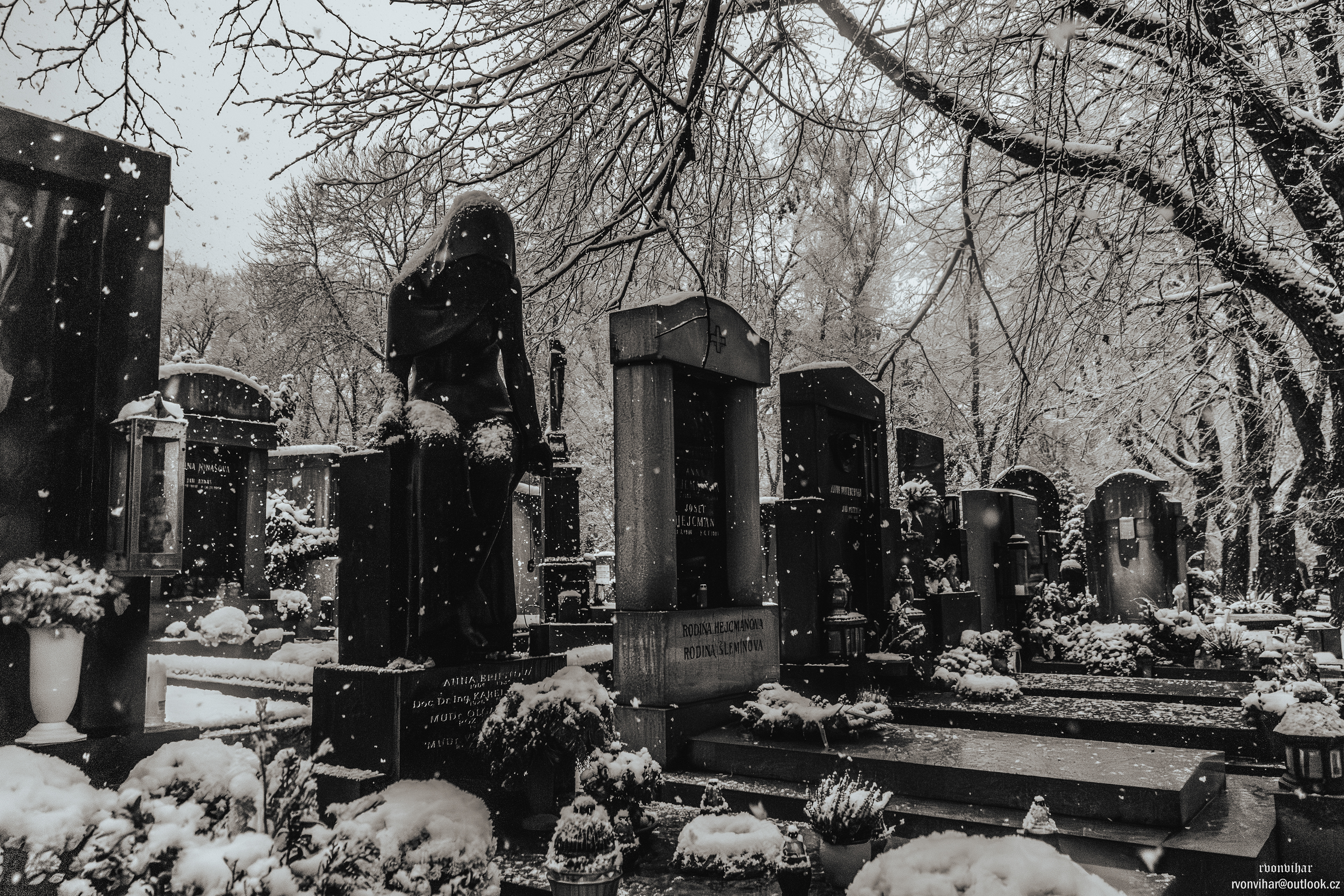 Olšanské hřbitovy (Olšany Cemetery, 26.11.25)