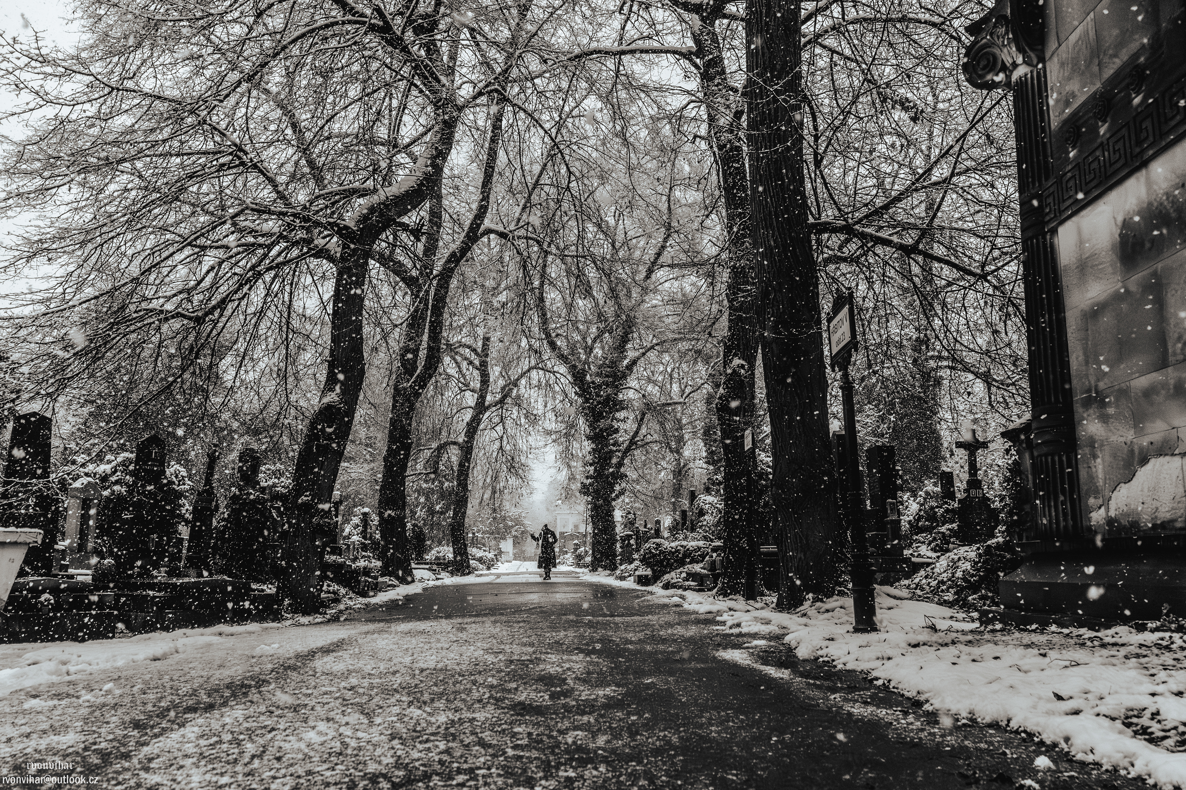 Olšanské hřbitovy (Olšany Cemetery, 26.11.25)