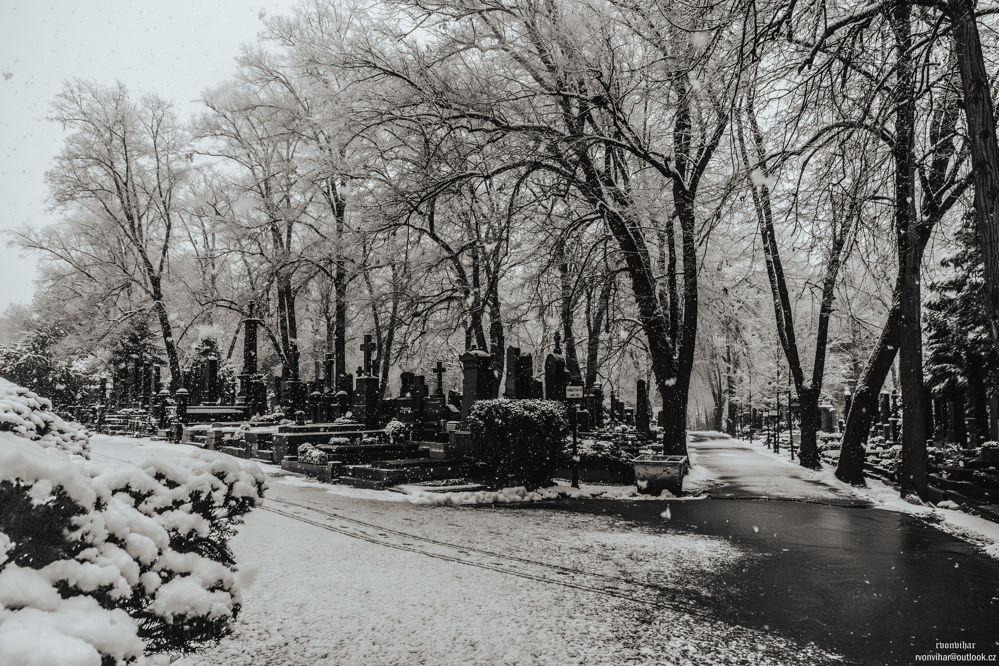 Olšanské hřbitovy (Olšany Cemetery, 26.11.25)