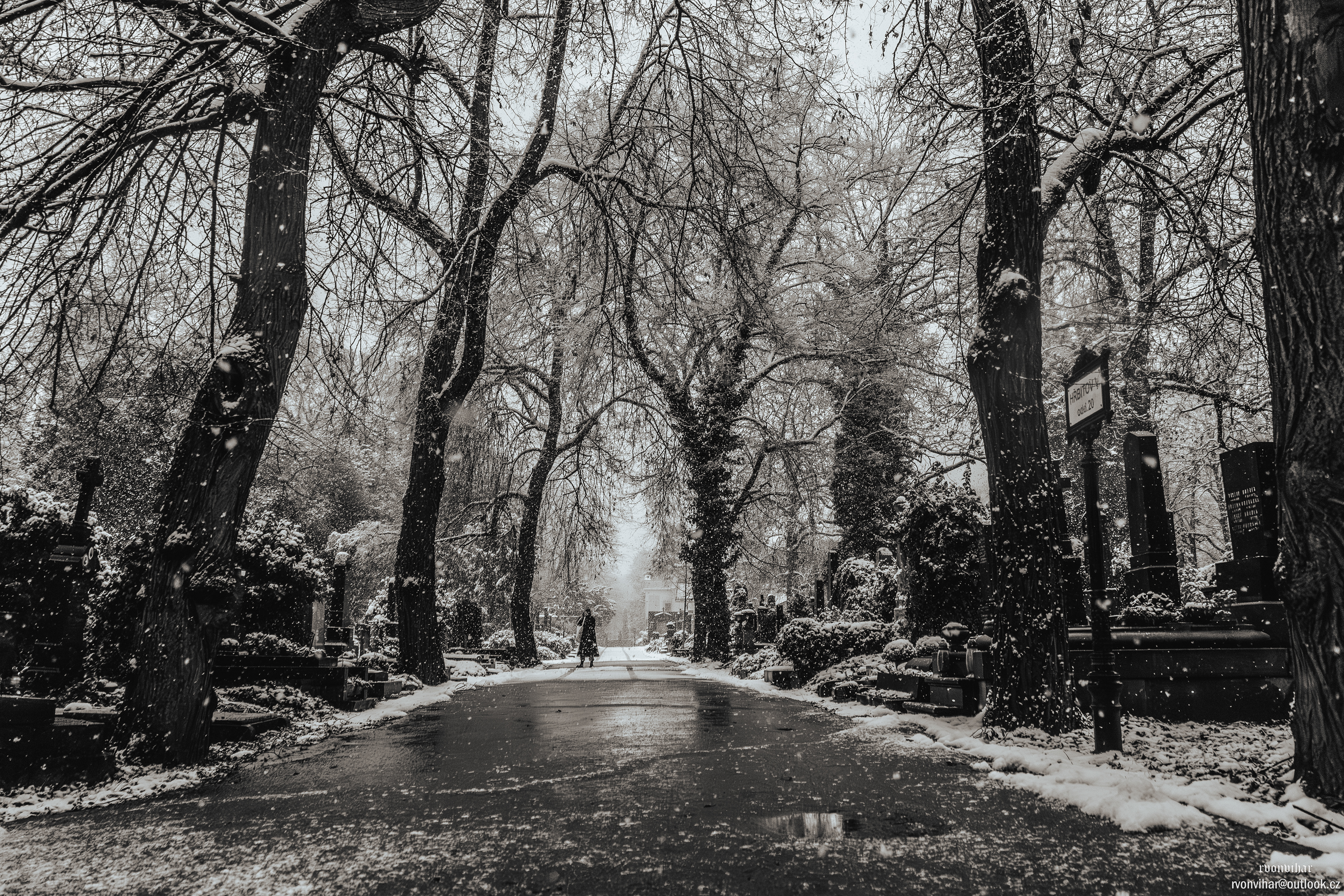 Olšanské hřbitovy (Olšany Cemetery, 26.11.25)