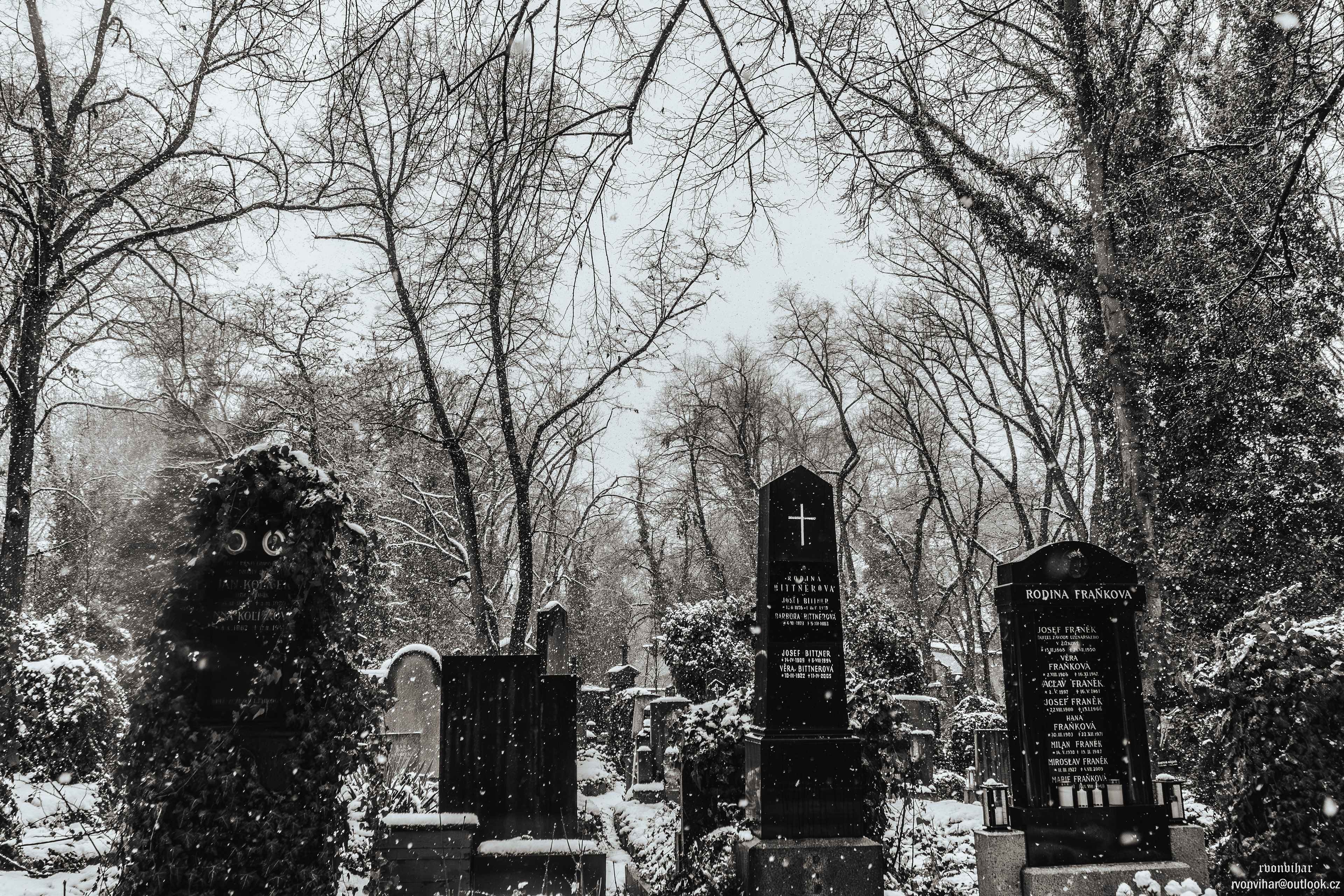 Olšanské hřbitovy (Olšany Cemetery, 26.11.25)