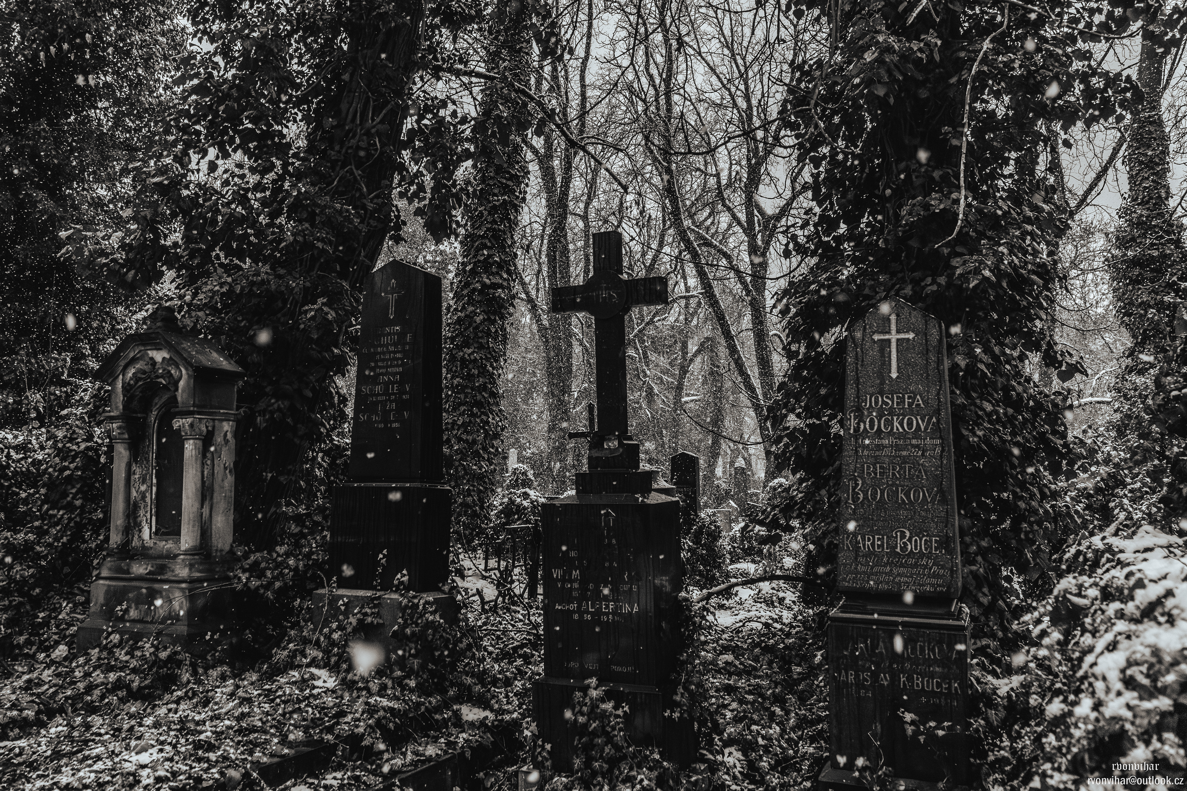 Olšanské hřbitovy (Olšany Cemetery, 26.11.25)