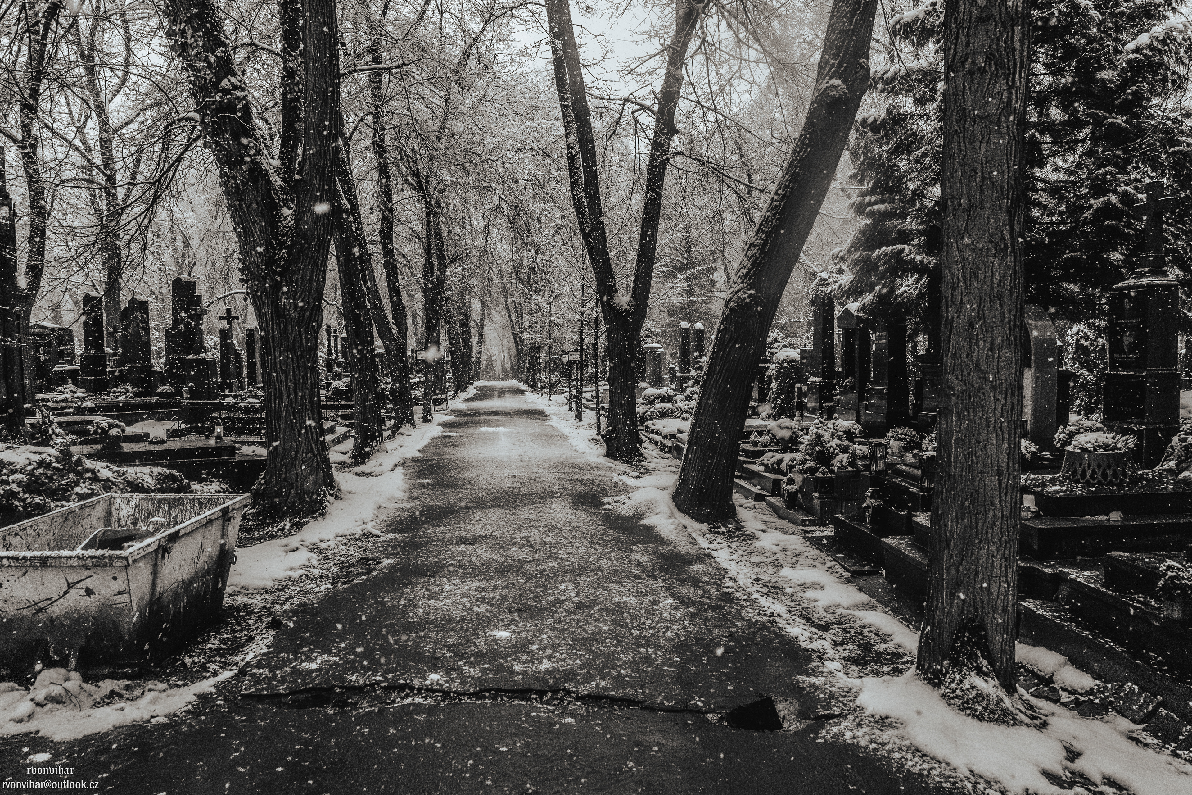 Olšanské hřbitovy (Olšany Cemetery, 26.11.25)