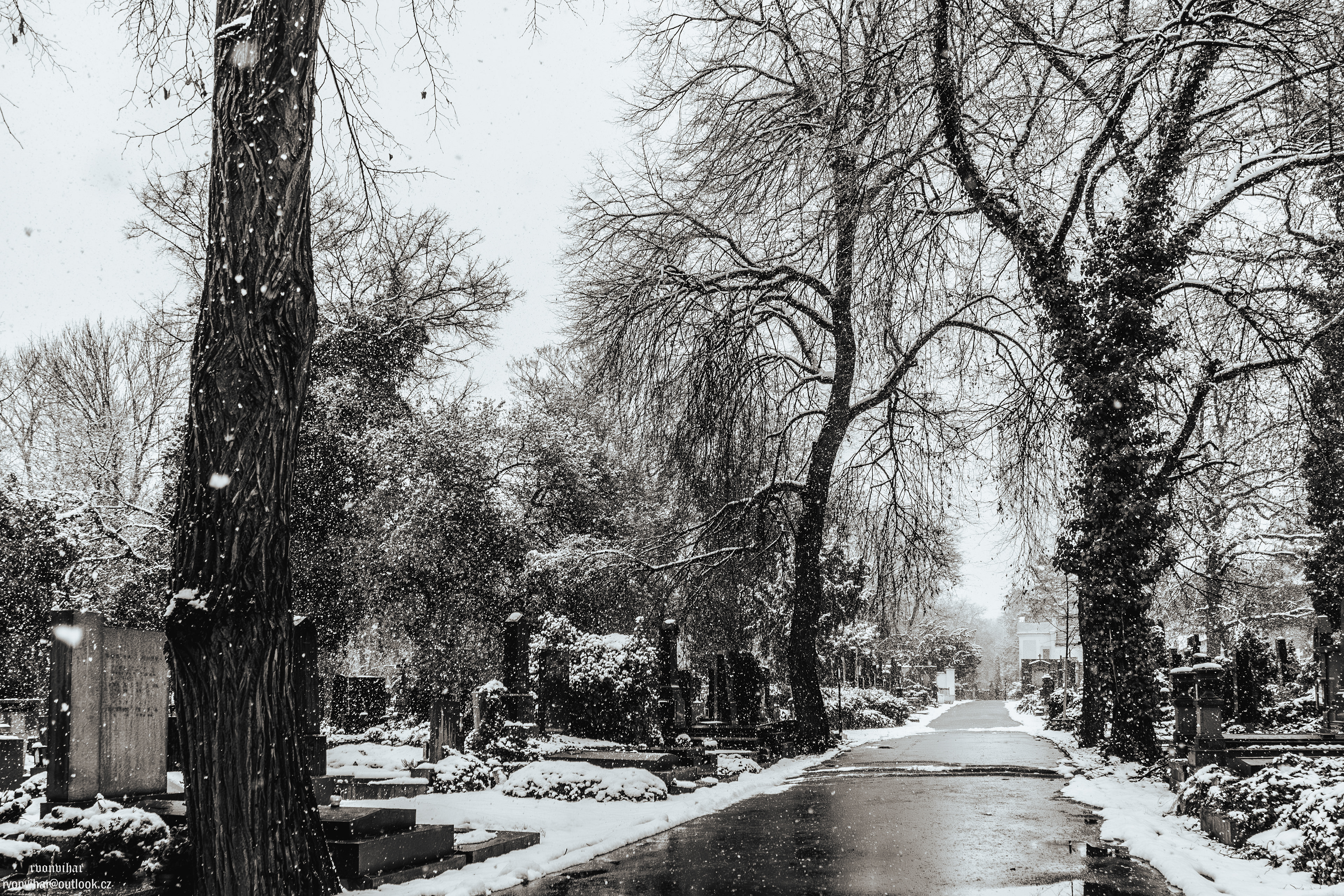 Olšanské hřbitovy (Olšany Cemetery, 26.11.25)