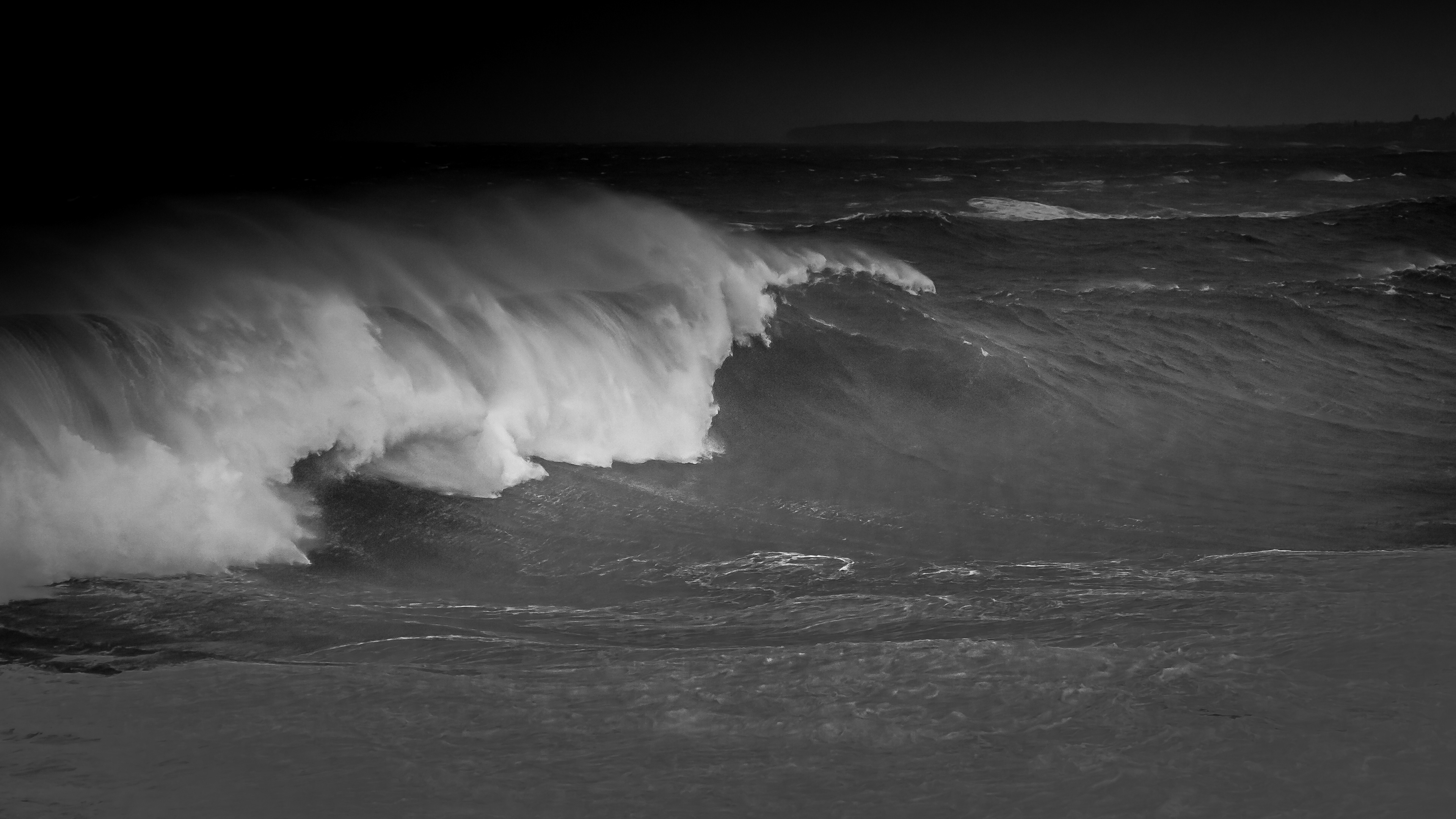 Bondi Big Swell