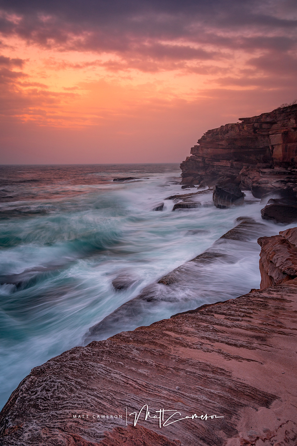 Cape Soalnder