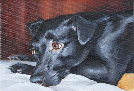 4 x 6 Harleigh