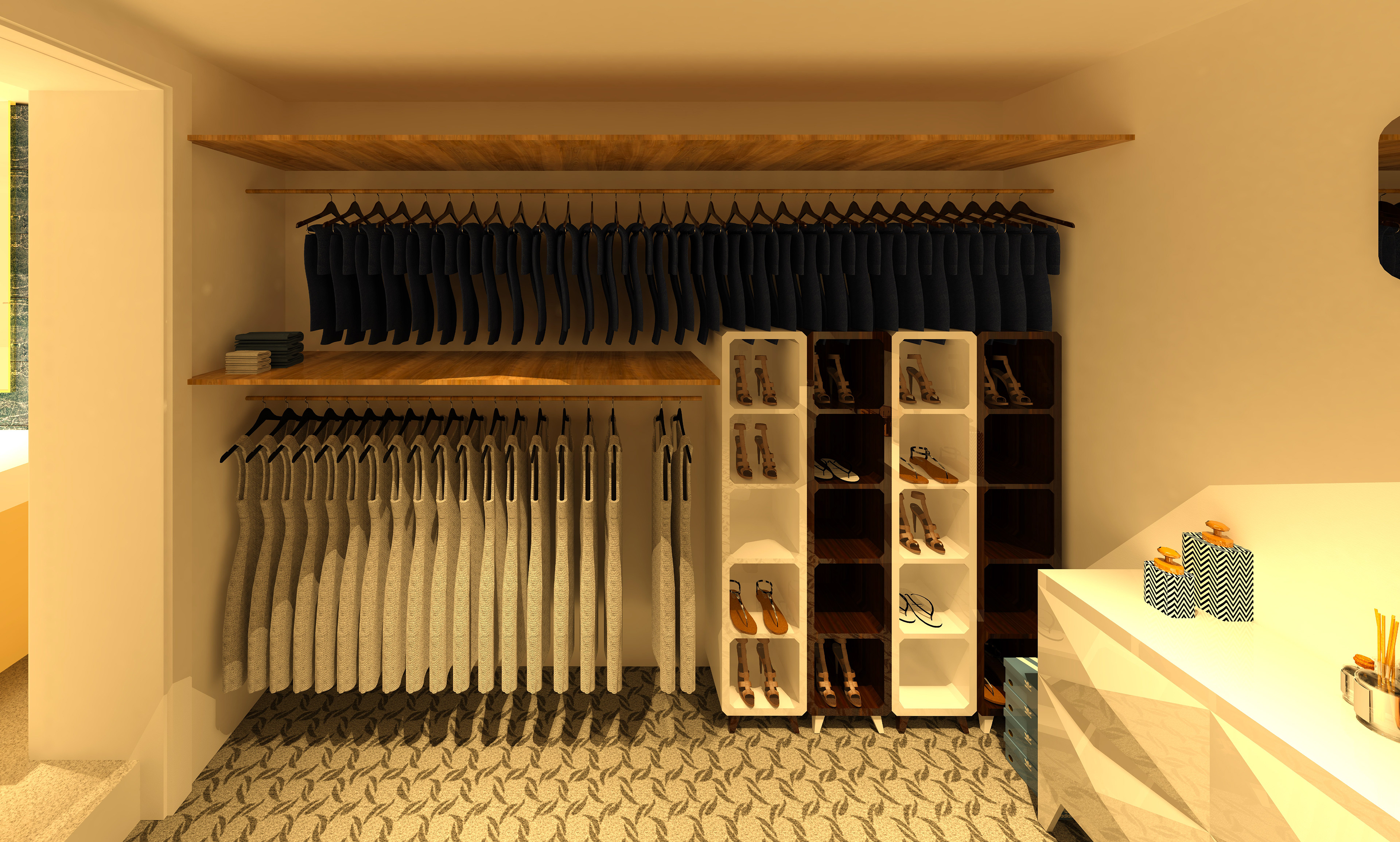 Master Closet (Left)