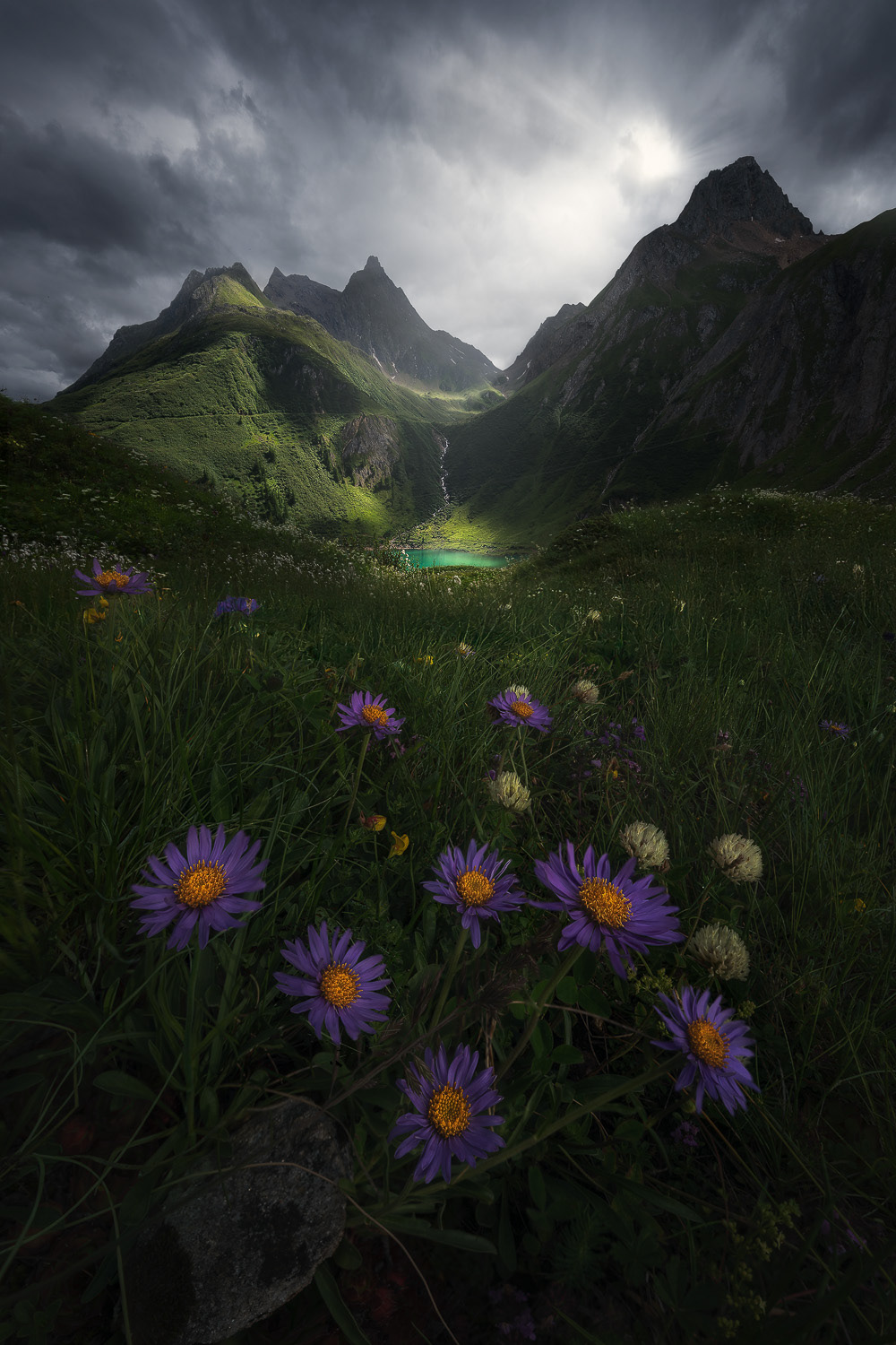 Emerald at the edge of darkness 2022