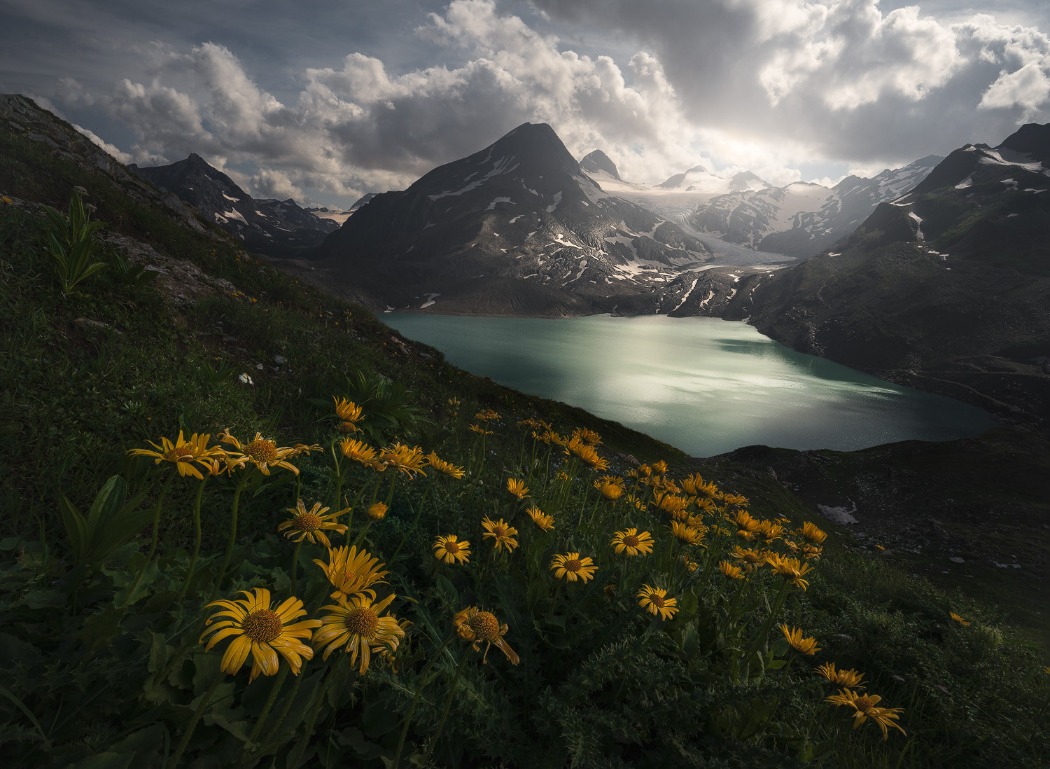 Epic Light 2024