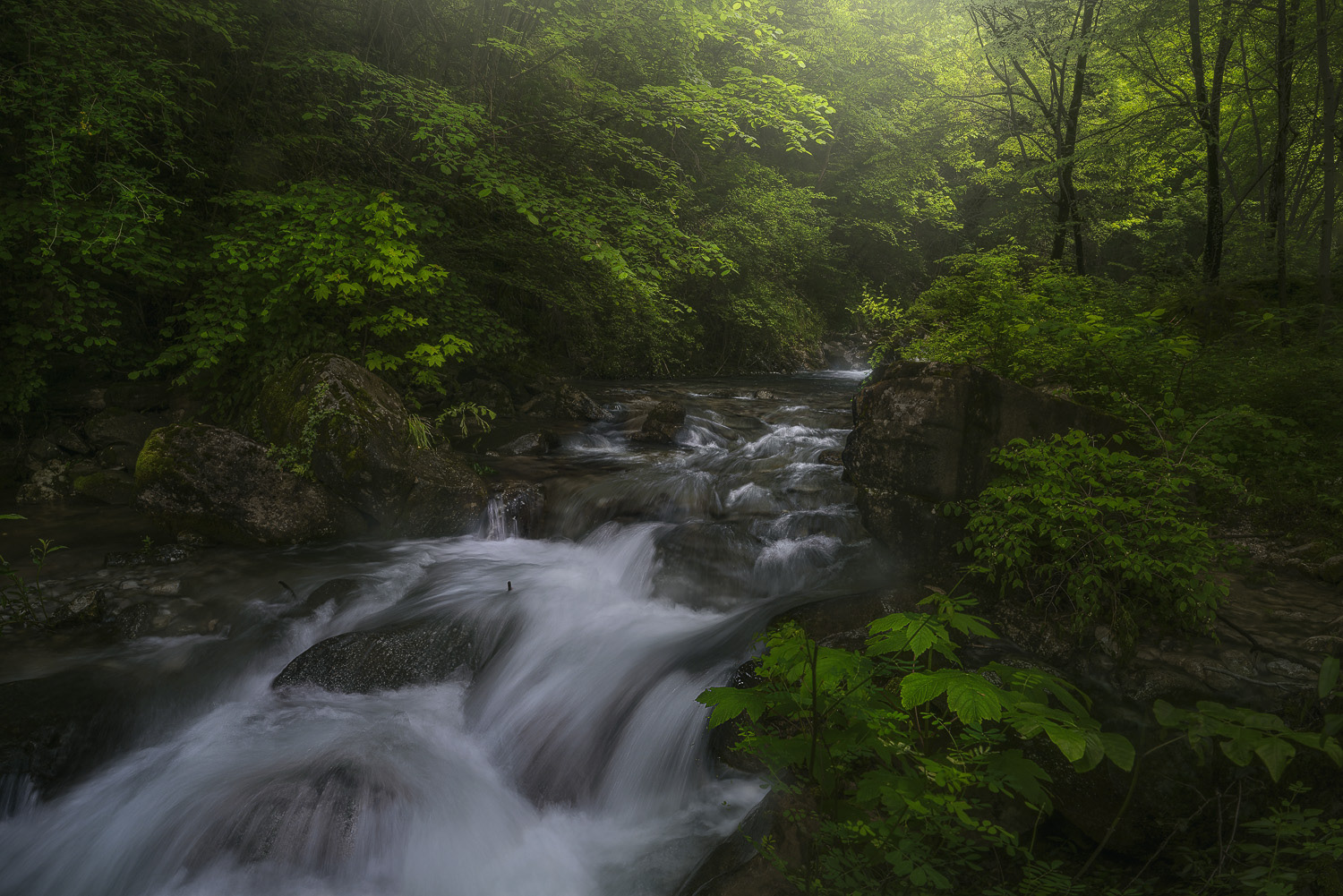 Gajun River 2024