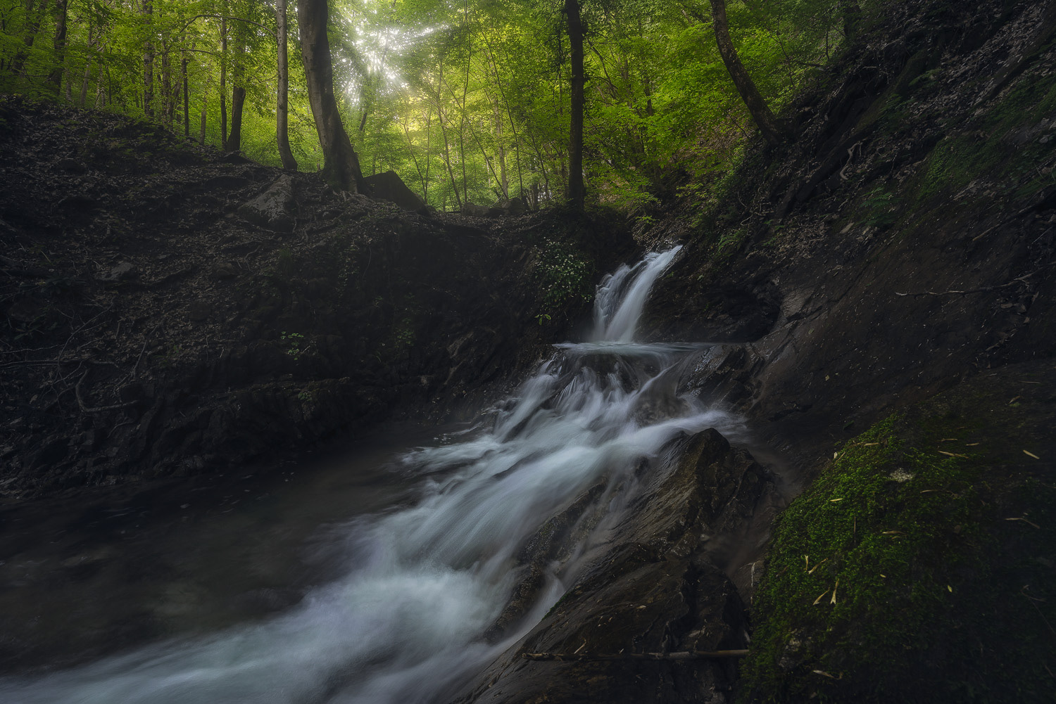 Abandoned Creek 2024