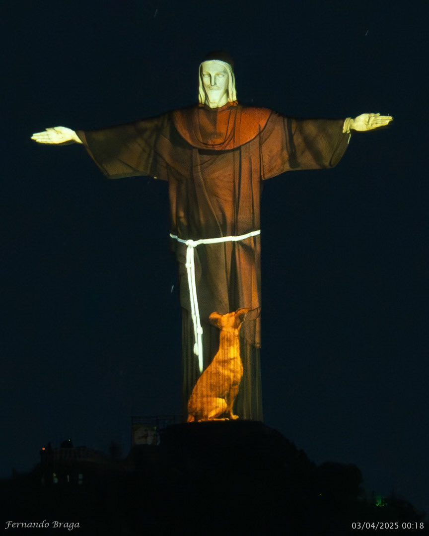 Iluminação especial do Dia Mundial dos Animais de Rua