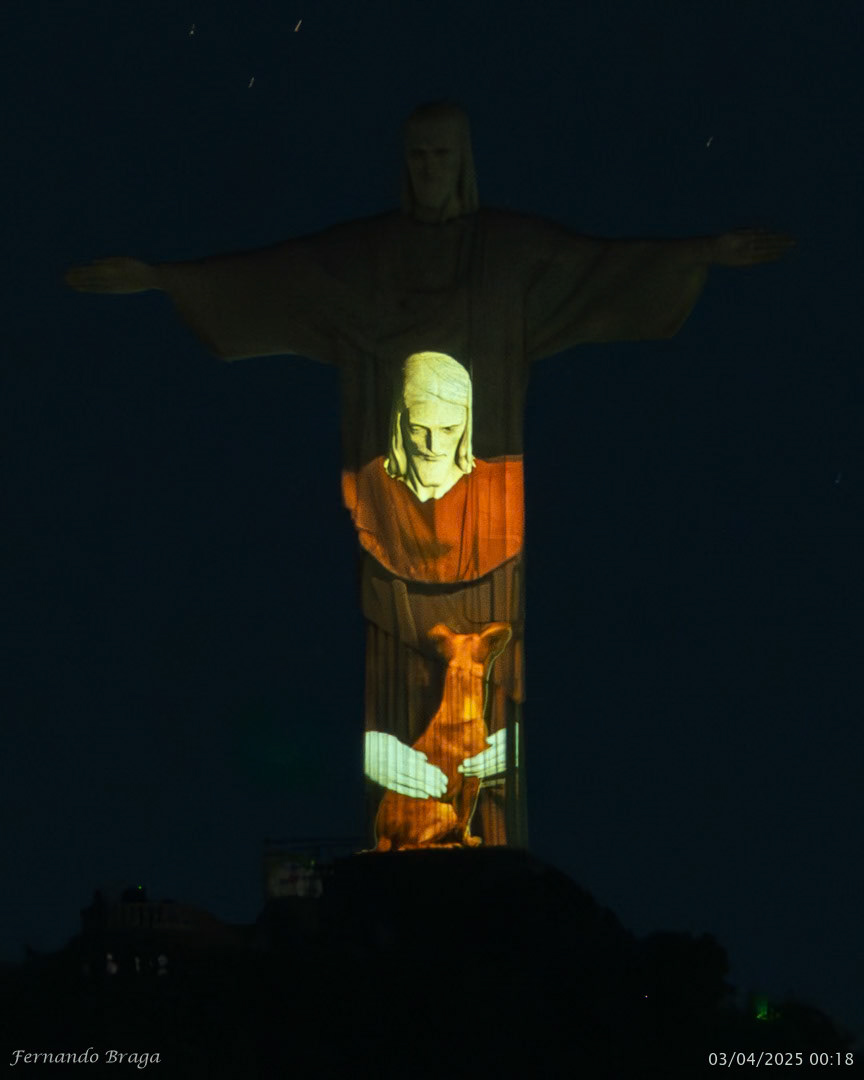 Iluminação especial do Dia Mundial dos Animais de Rua