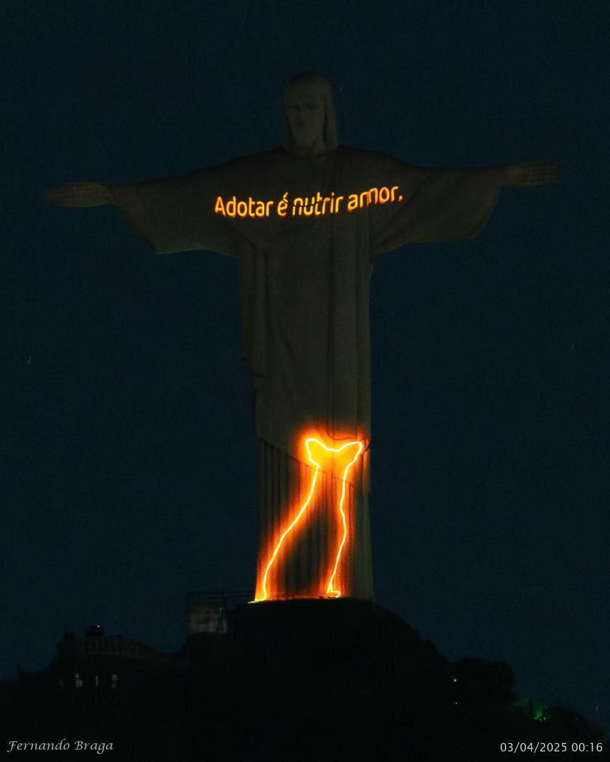 Iluminação especial do Dia Mundial dos Animais de Rua