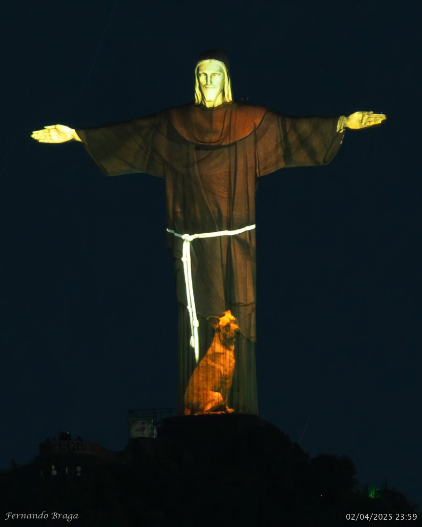 Iluminação especial do Dia Mundial dos Animais de Rua