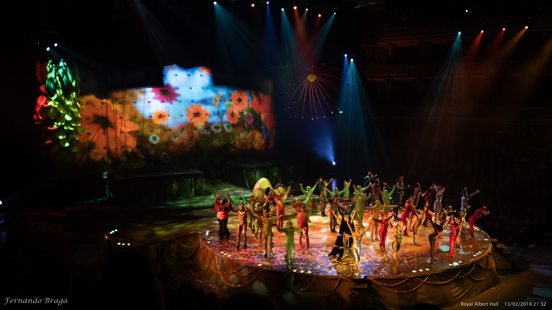 Cirque du Soleil - OVO