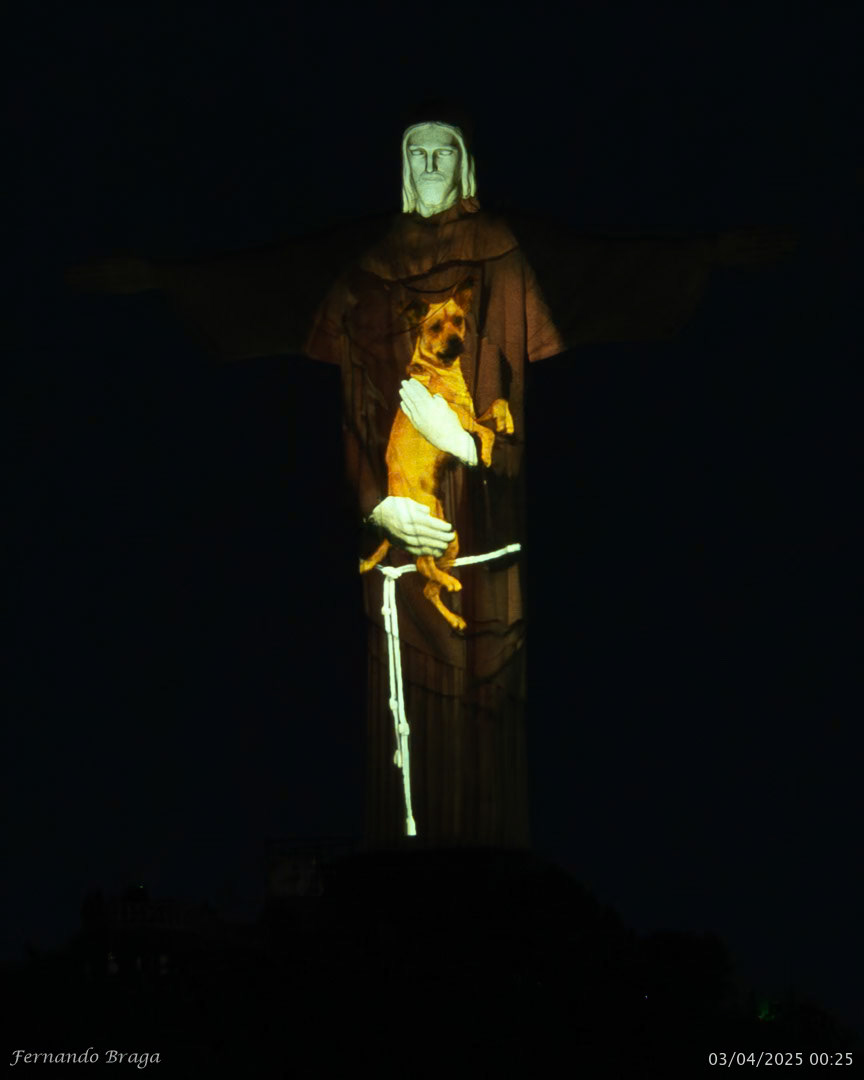 Iluminação especial do Dia Mundial dos Animais de Rua