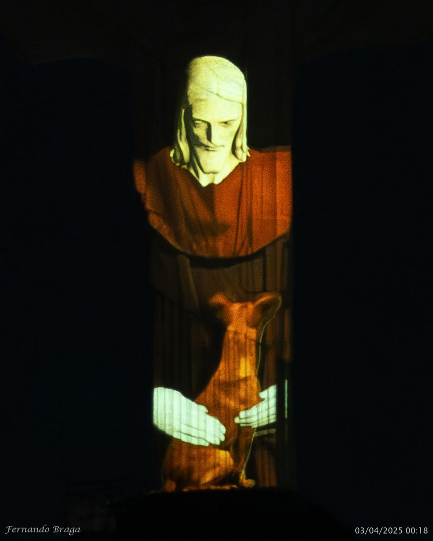 Iluminação especial do Dia Mundial dos Animais de Rua