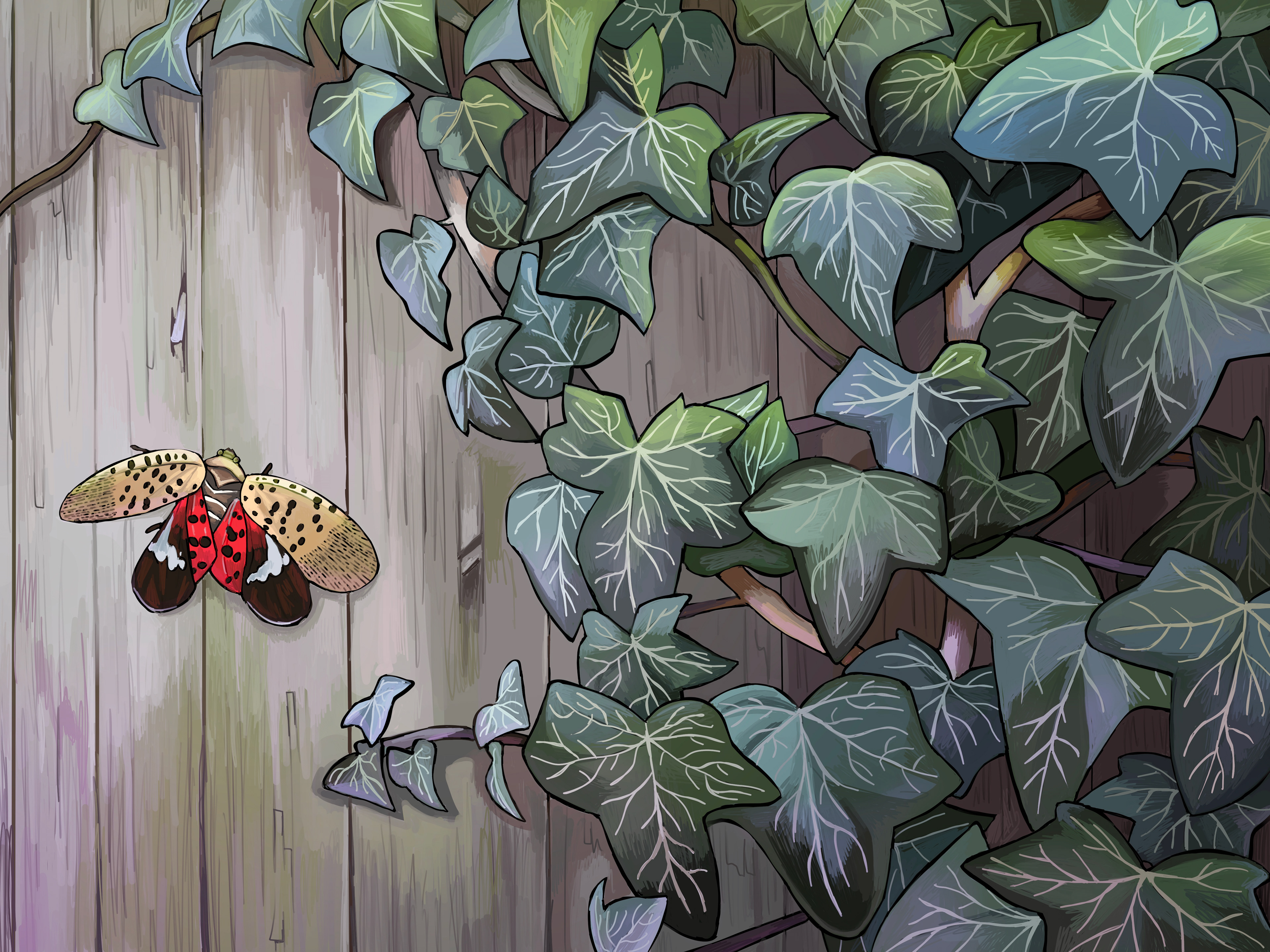 Invasive Species Illustration