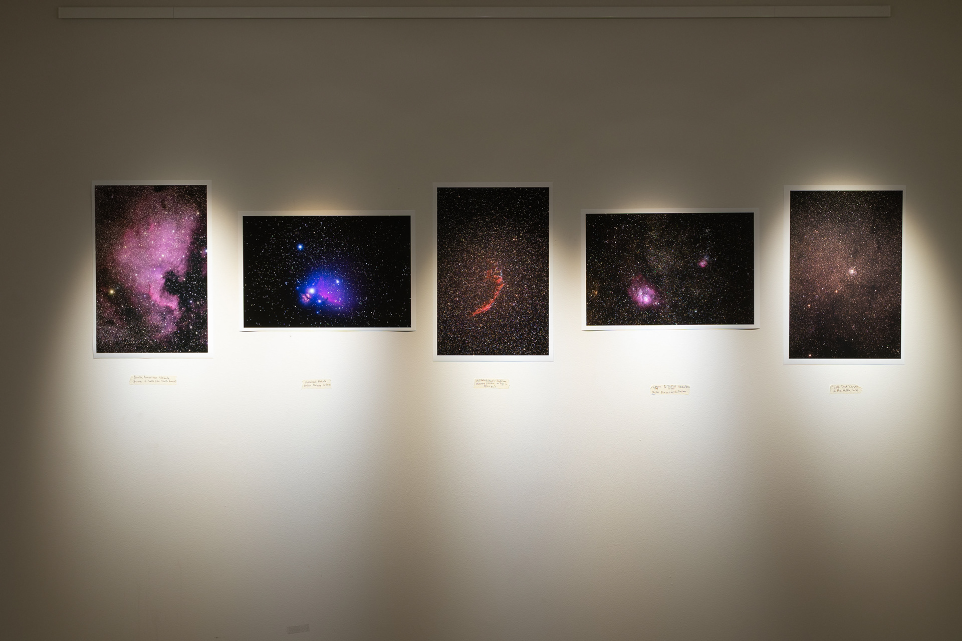 Pauli Murray College @Yale - November, 2018