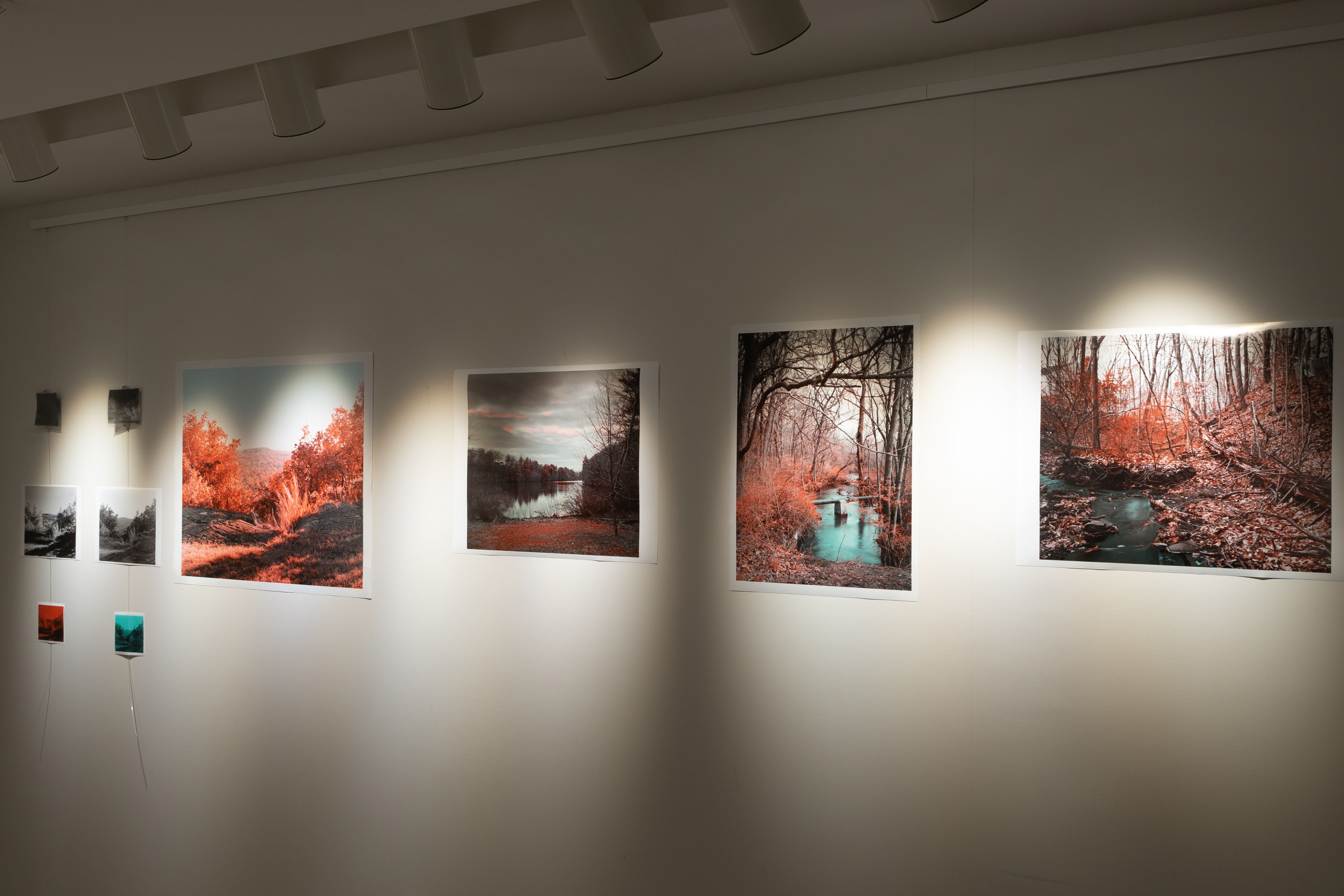 Pauli Murray College @Yale - November, 2018