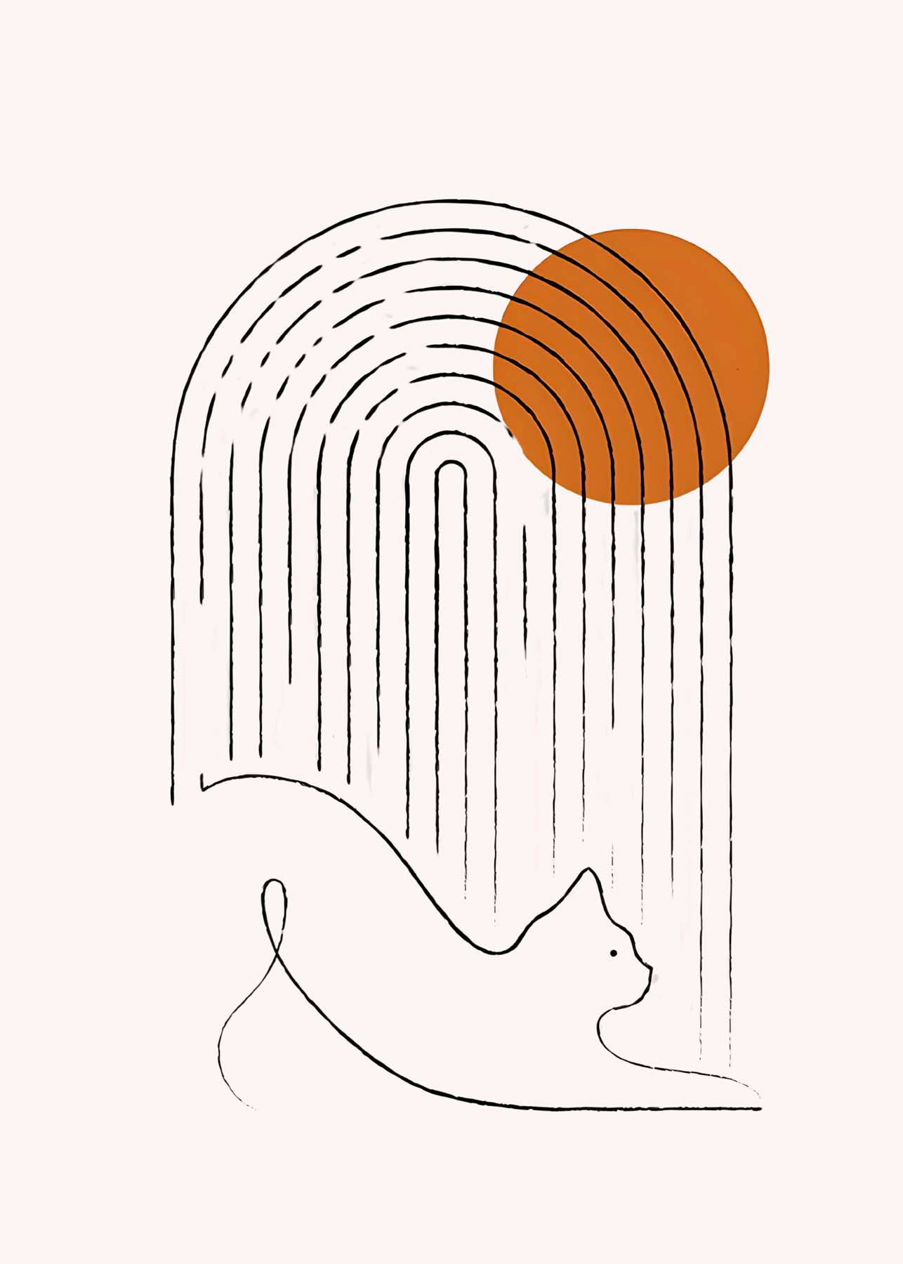 55