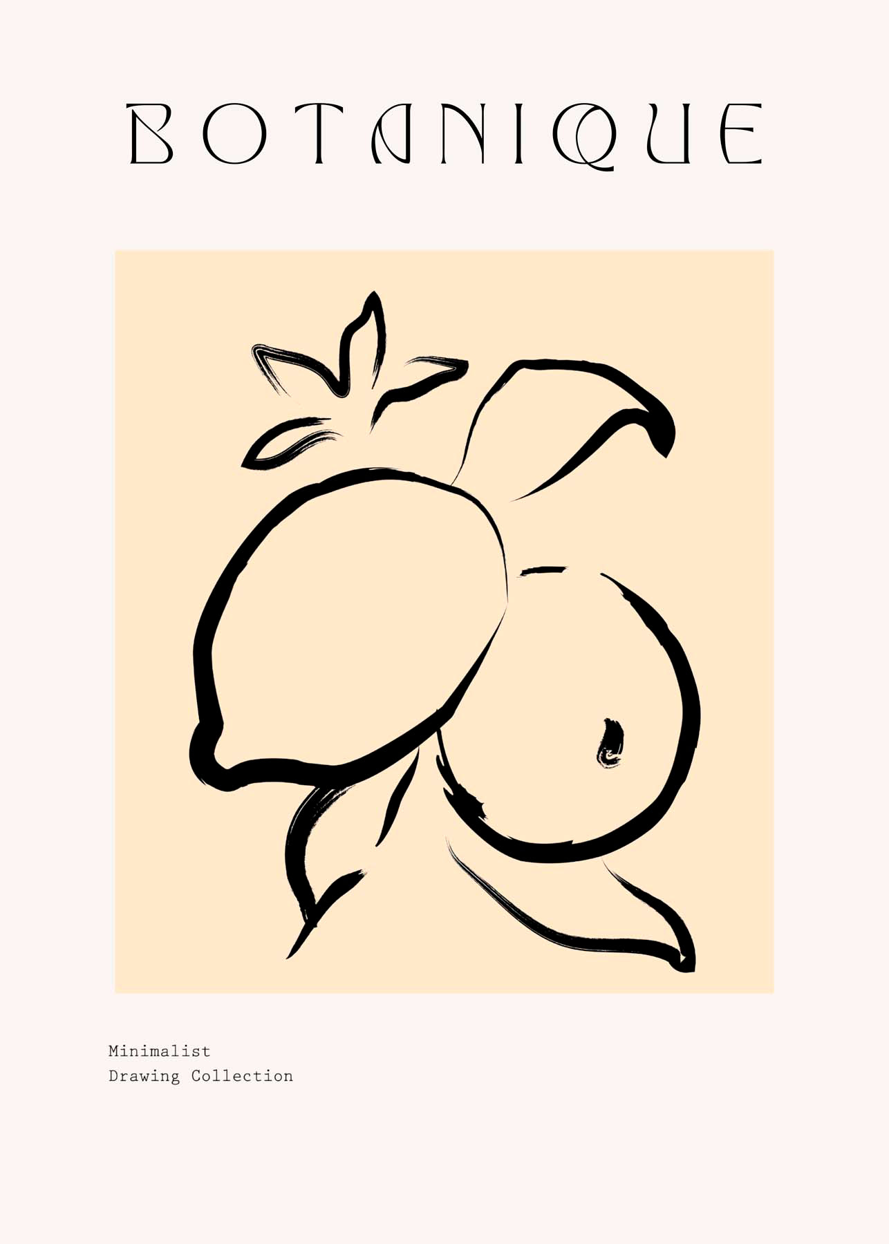 204