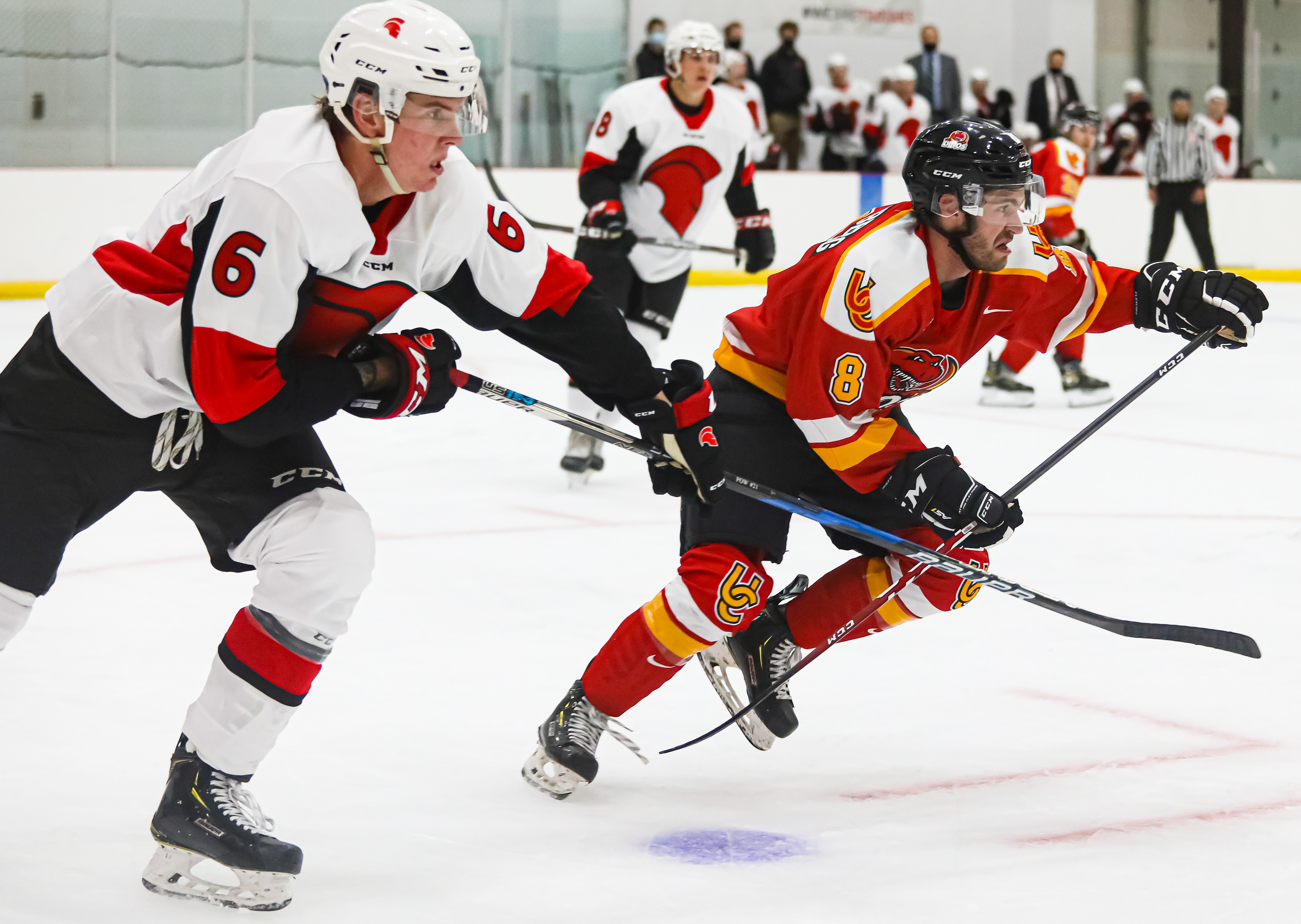 SAIT Trojans player and University of Calgary Dinos player keep their eye on the puck during a hockey game at the SAIT arena in Calgary on Wednesday, Sept. 15, 2021. The U of C Dinos defeated the Trojans, 8-1.