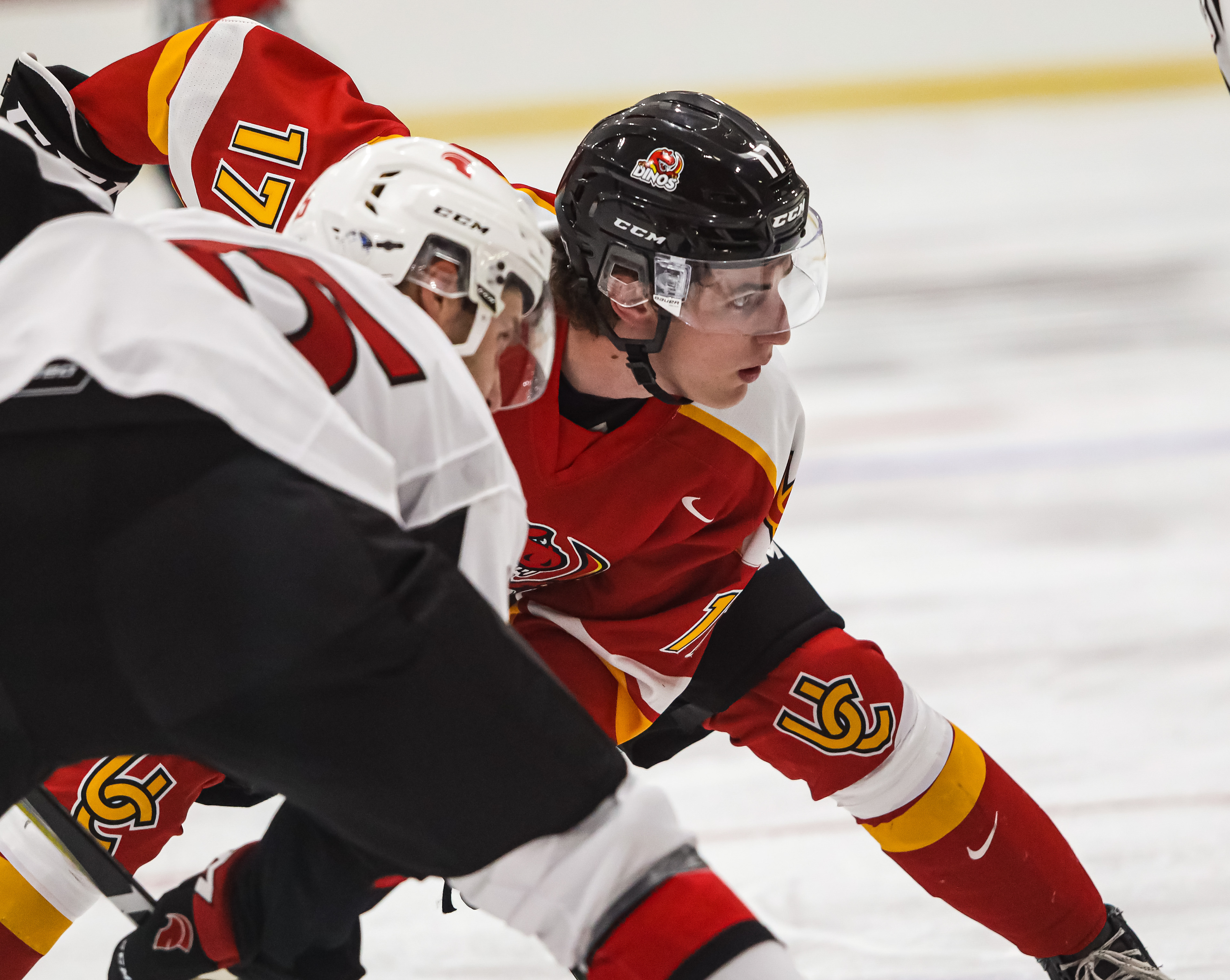 SAIT Trojans player and University of Calgary Dinos player keep their eye at the puck in the referee’s hand during a hockey game at the SAIT arena in Calgary on Wednesday, Sept. 15, 2021. The U of C Dinos defeated the Trojans, 8-1.
