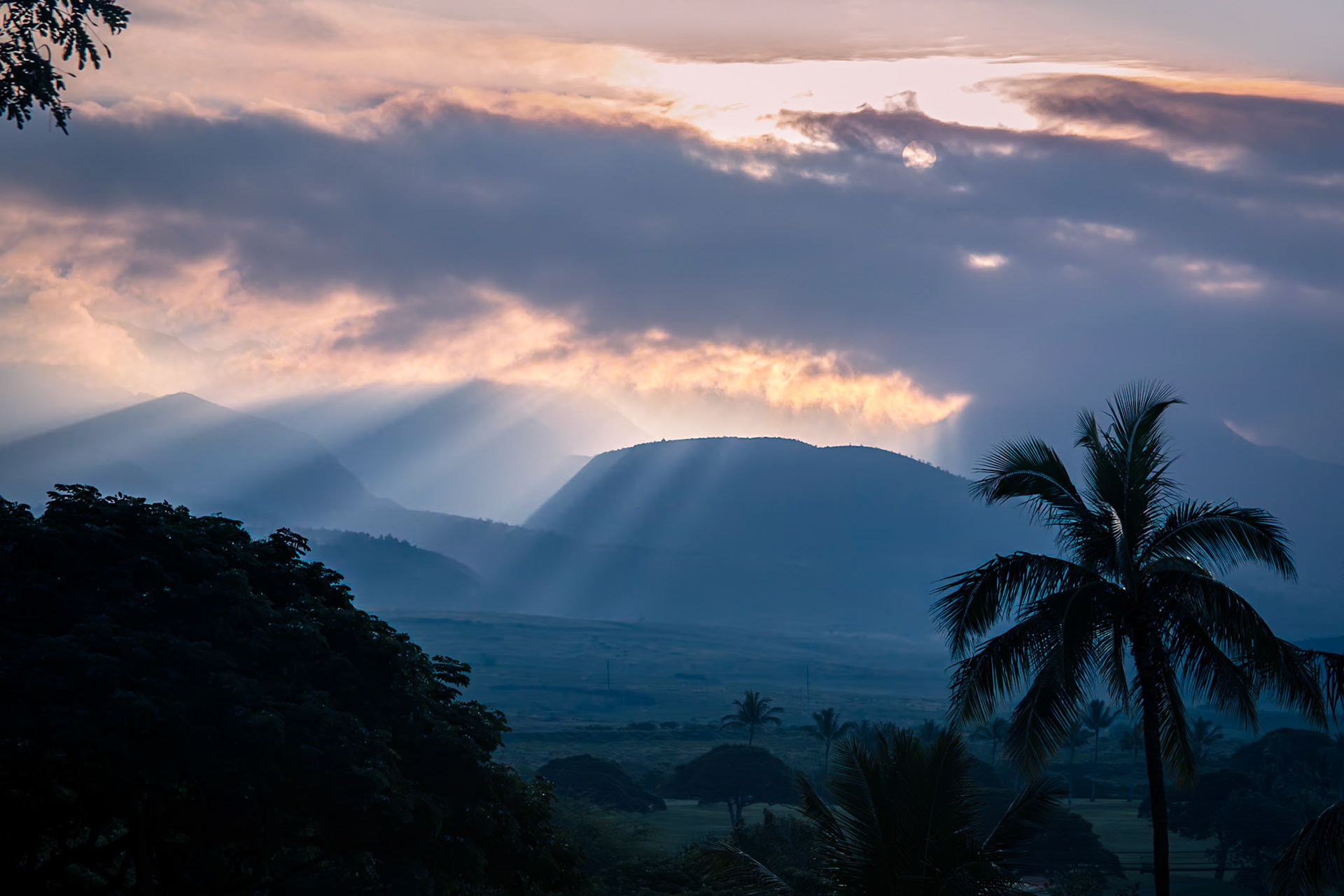 Hawaii Sun Beams