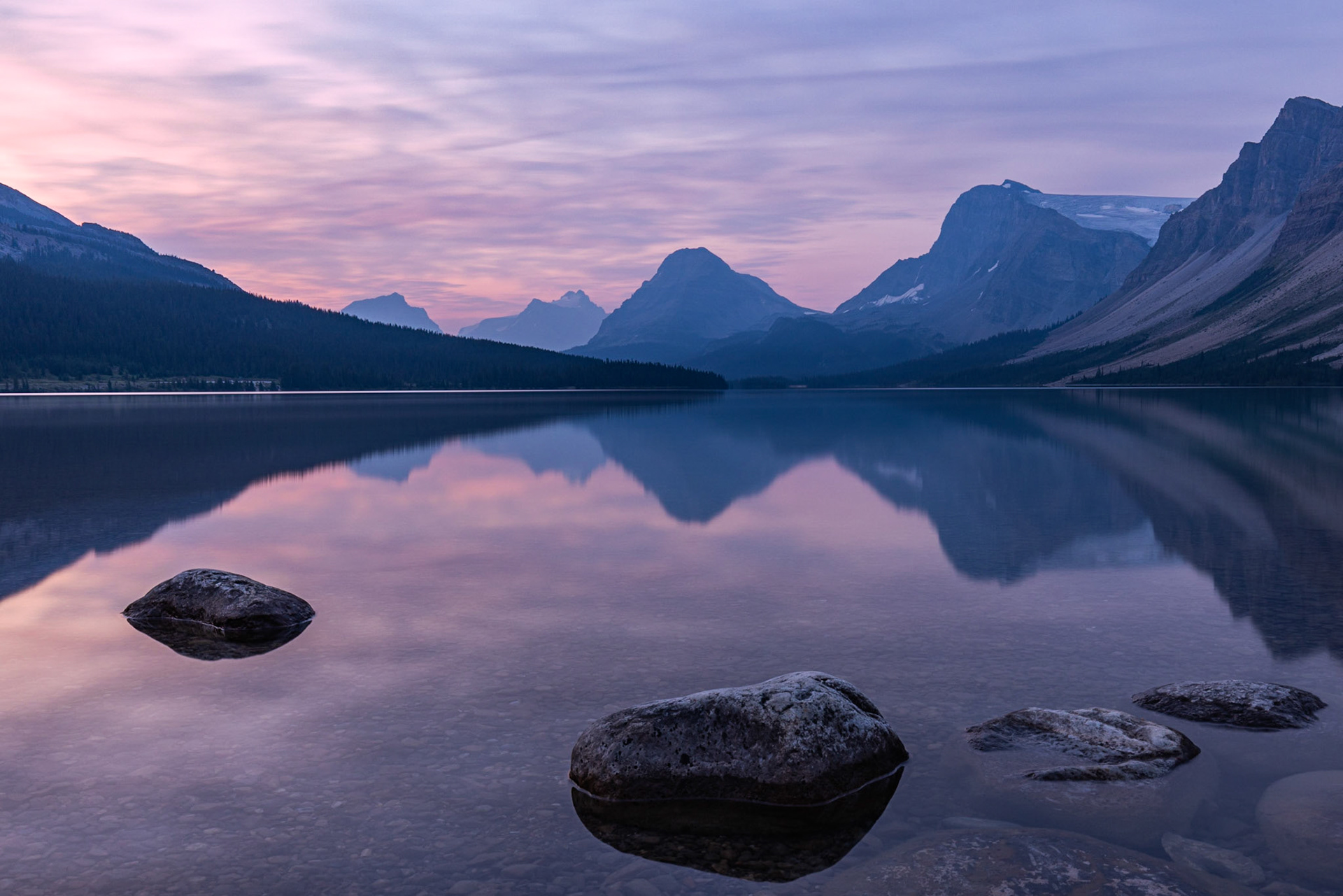 Bow Lake Mist