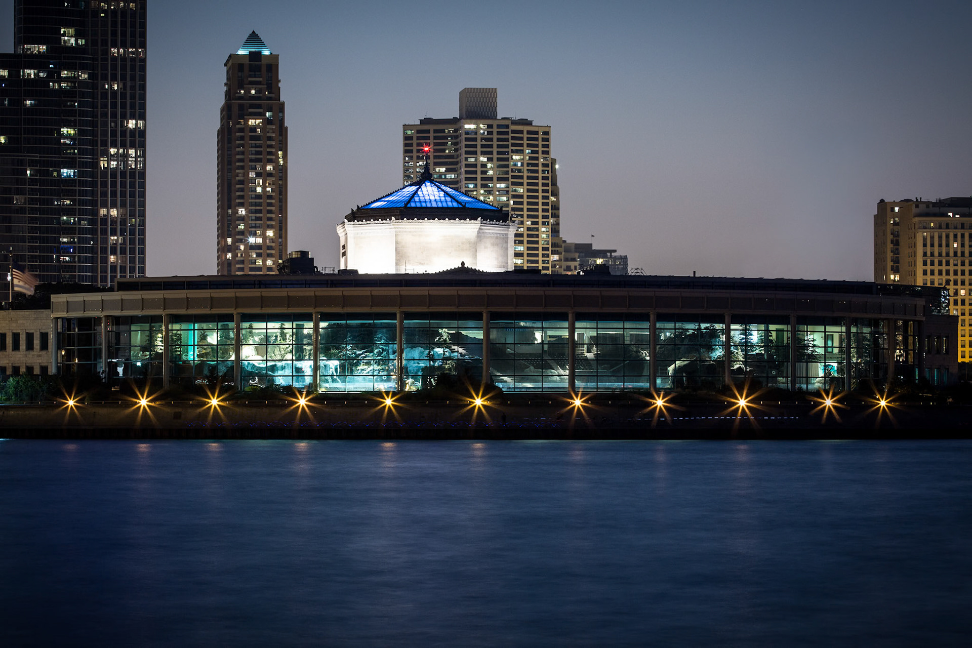 Shedd Aquarium at Night