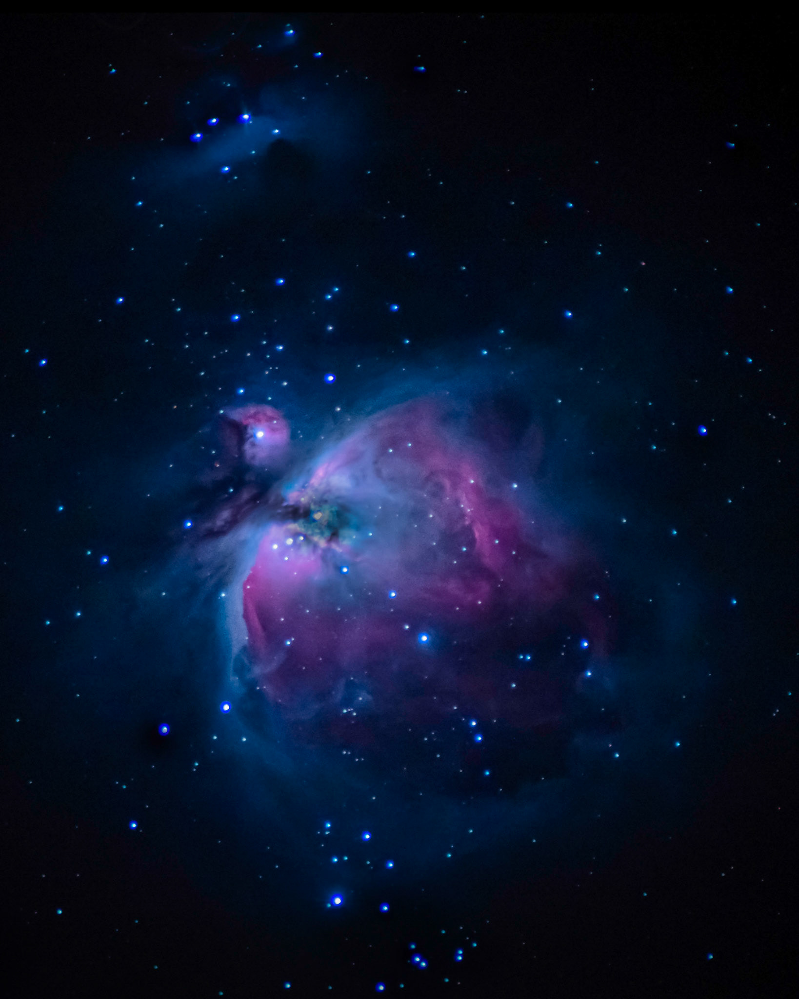 Orion Nebula (Large)