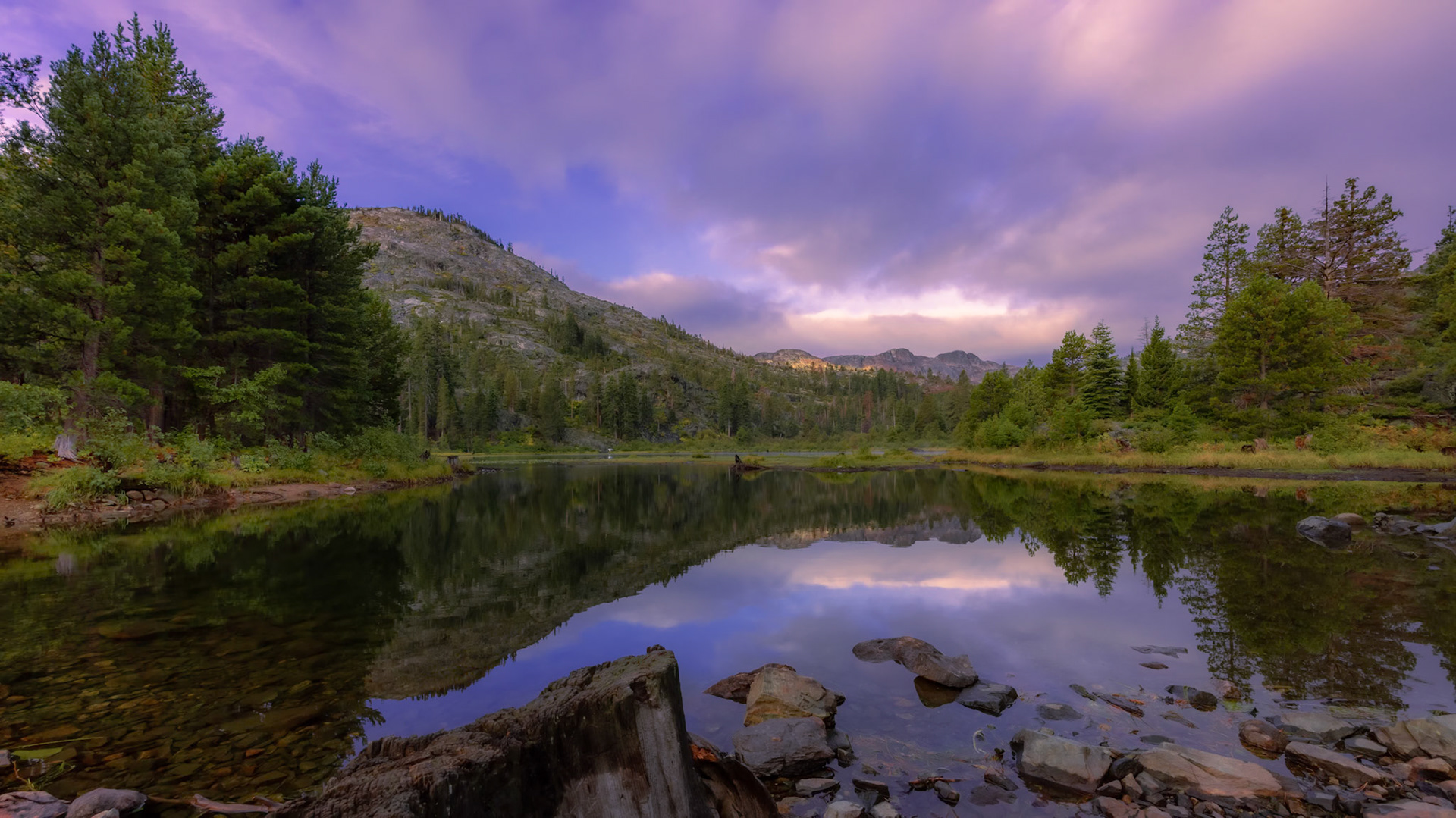 Lily Lake