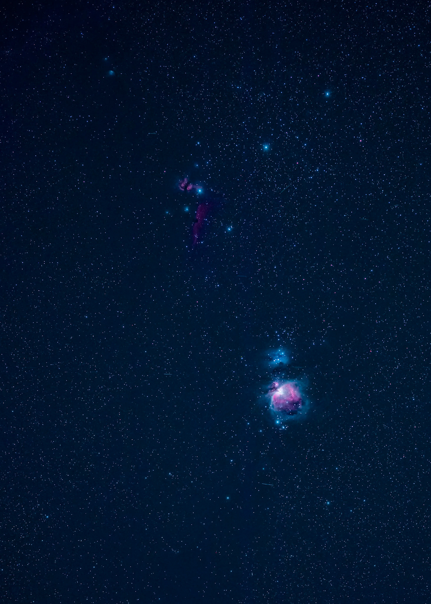 Orion Nebula (Small)