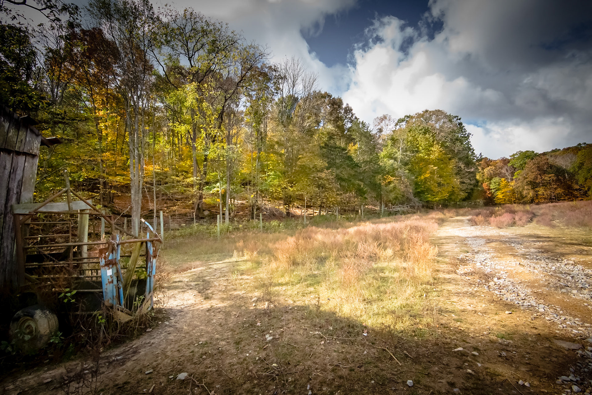 Tennessee Fall