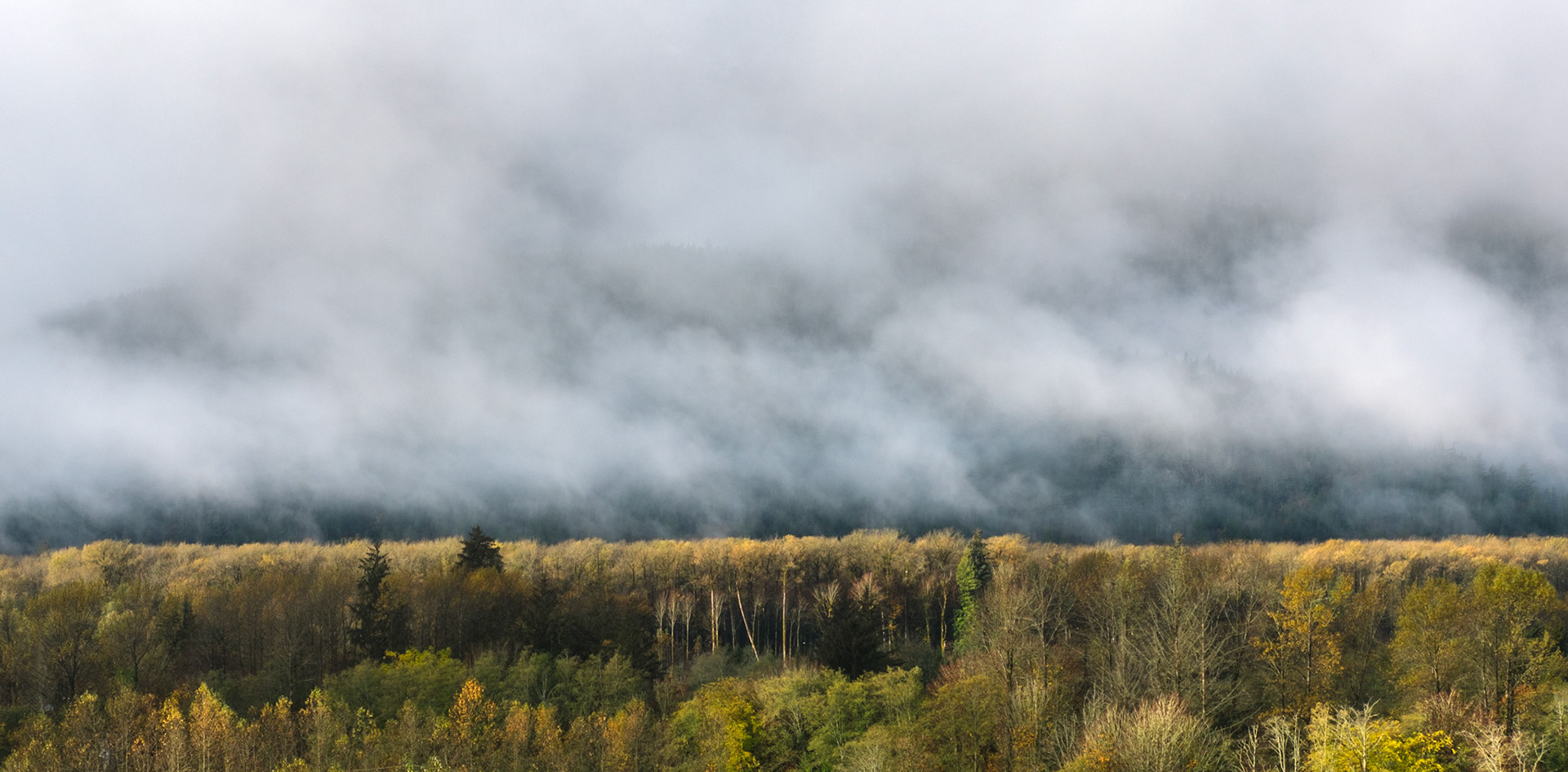 Autumn Rothko