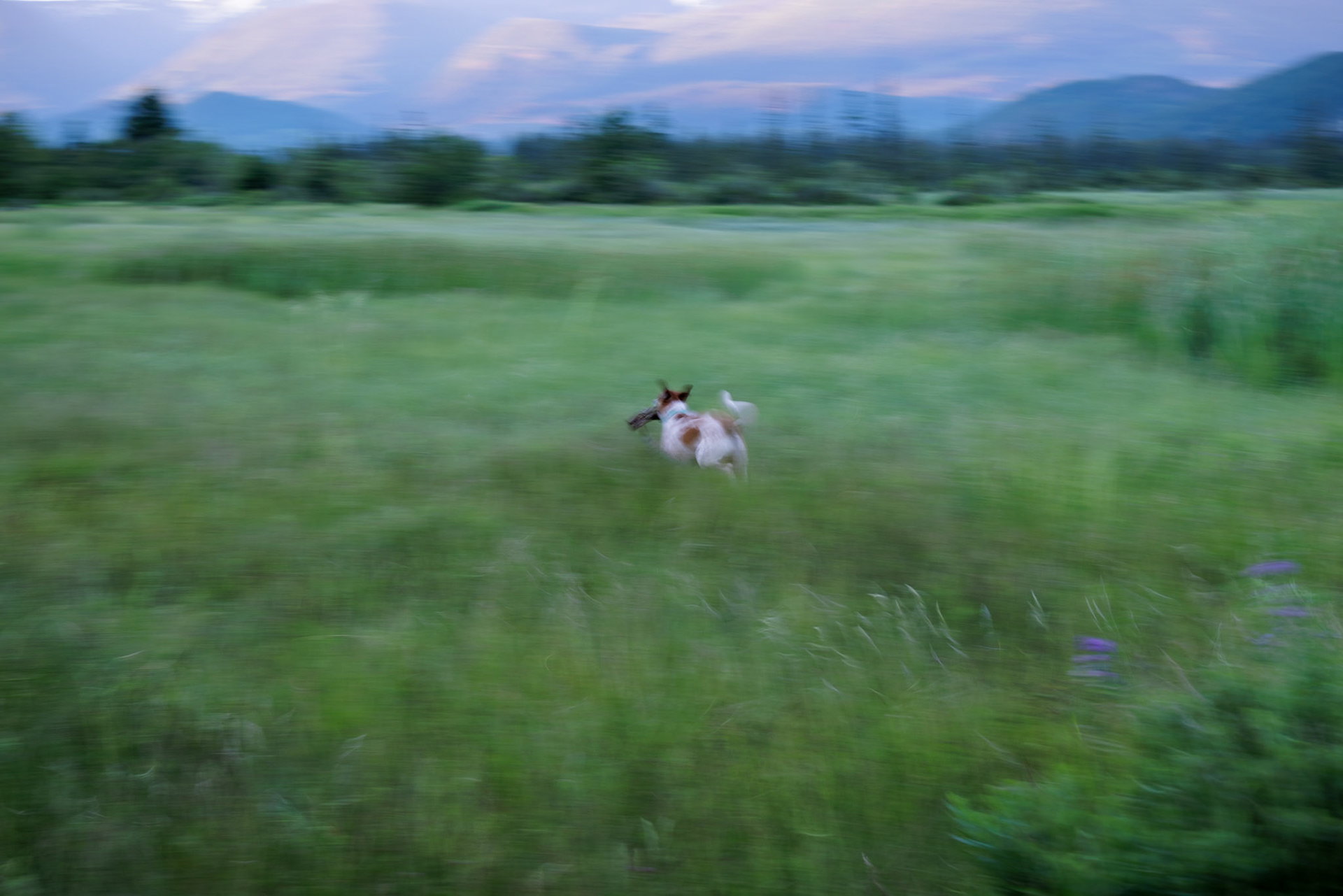 Maggie Estuary ICM/Pan